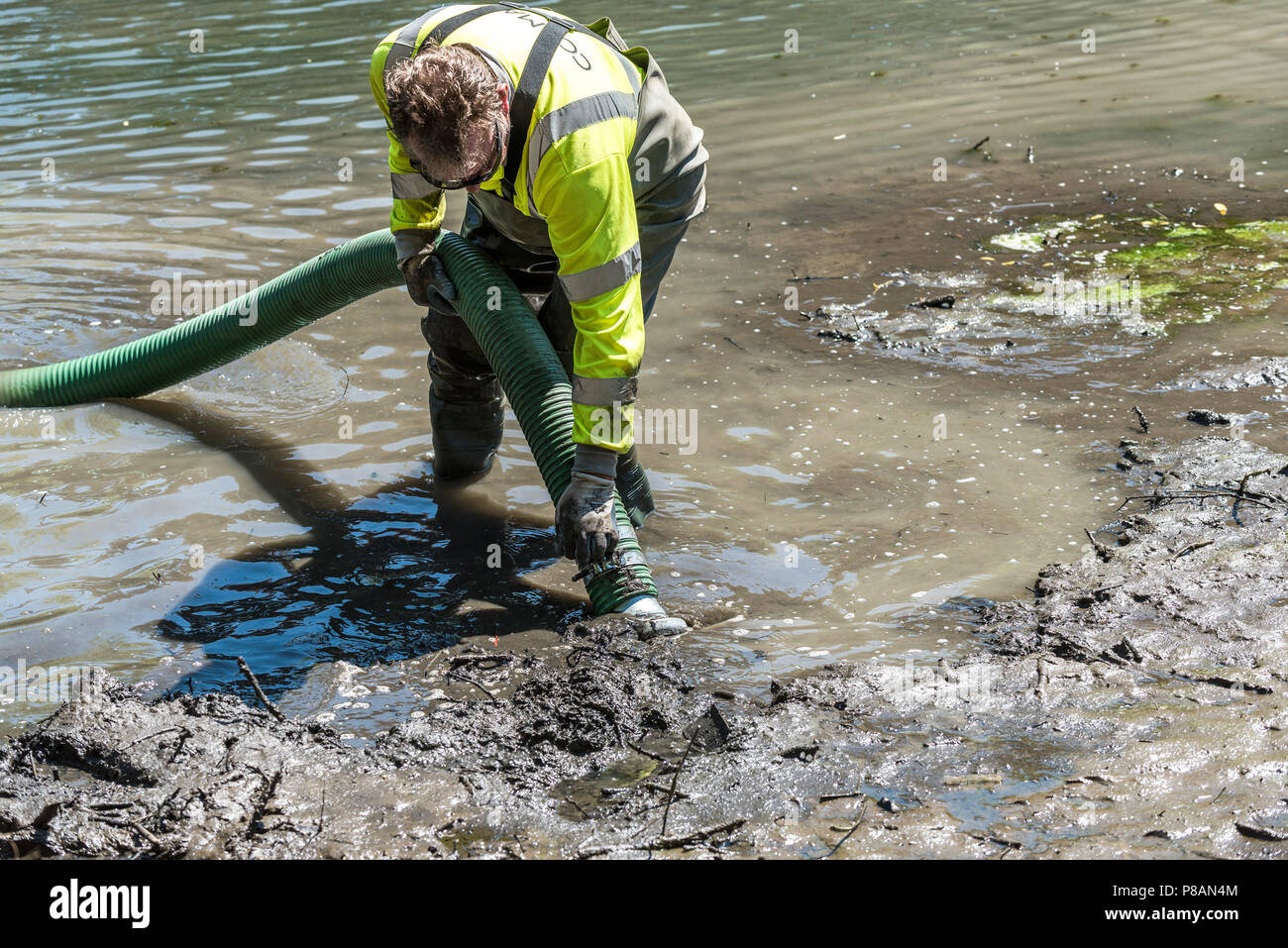 A worker using a suction pump to remove mud and silt in a lake. Stock Photo