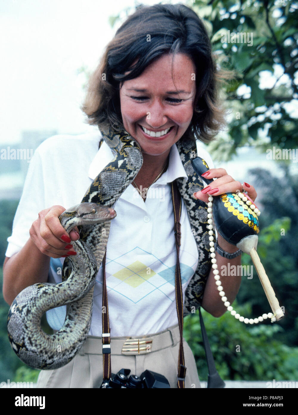 A female tourist allows a Burmese python snake to be draped around her neck while she poses for a souvenir photograph in Singapore. The reptile is the tame pet of a local snake charmer who makes his living entertaining visitors to that island nation in Southeast Asia. Although this large snake has been trained not to be aggressive, the constrictor can wrap its long body around prey and squeeze it to death. Other snake charmers feature venomous snakes such as cobras and other vipers but the fangs or glands that produce their poisonous venom have been removed from those reptiles. Stock Photo