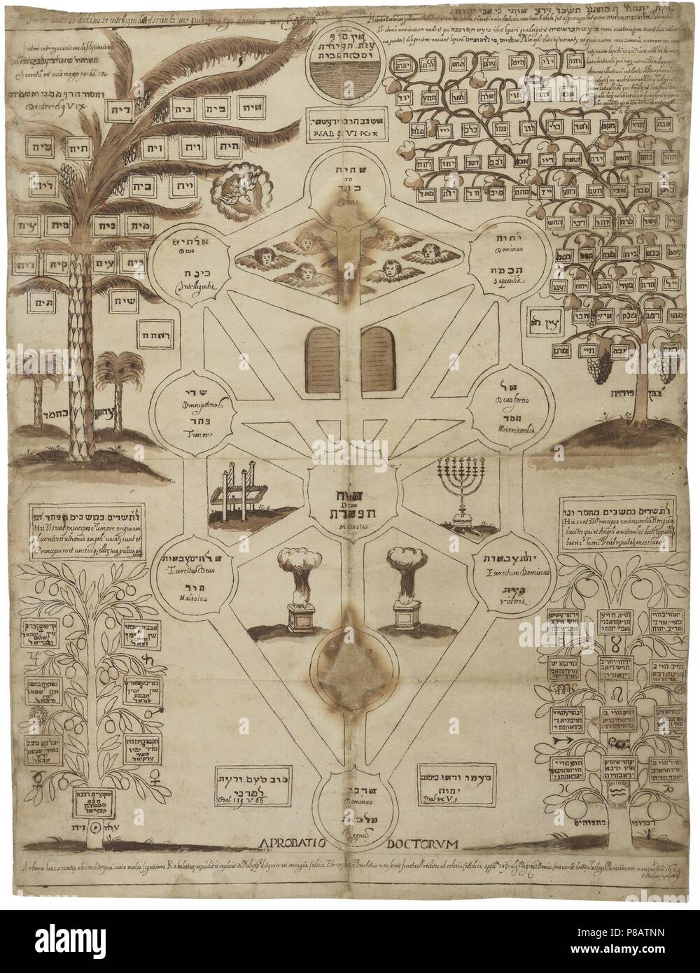 Arbor Cabalistica (Kabbalistic Tree). Museum: PRIVATE COLLECTION. Stock Photo