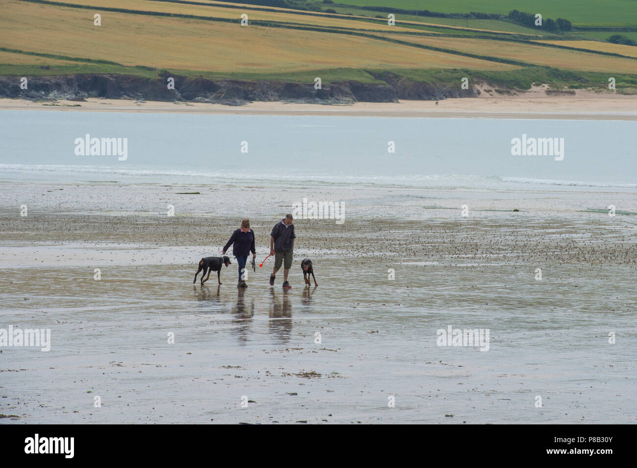 dog walkers on a beach Stock Photo Alamy