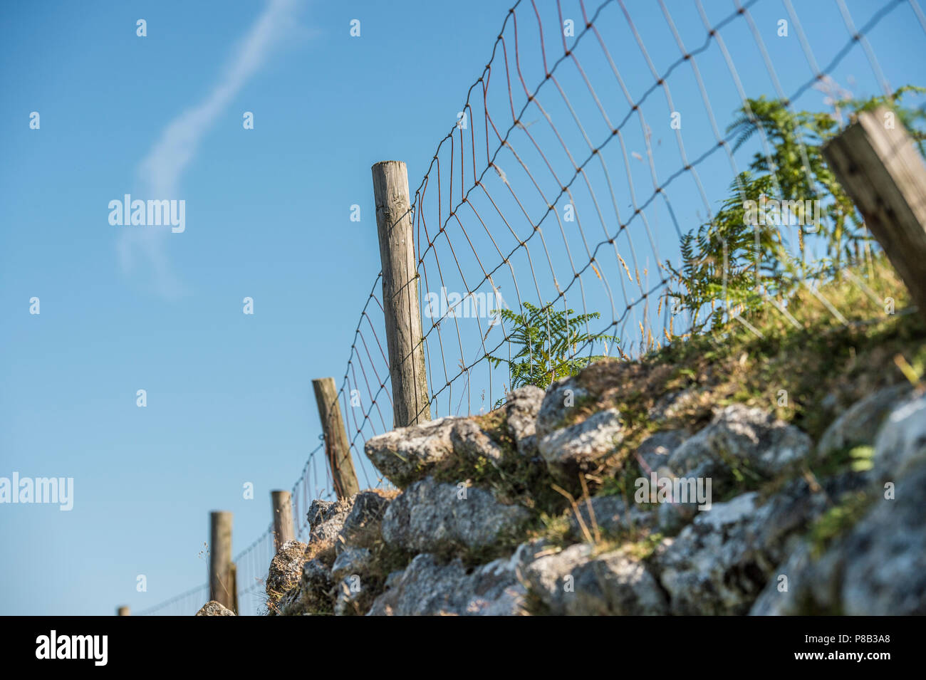 dry stone wall Bodmin Moor Stock Photo