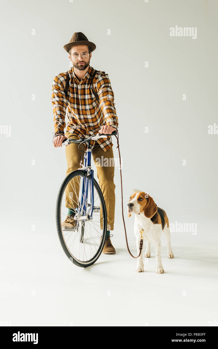 handsome man on bike with beagle looking at camera on white Stock Photo