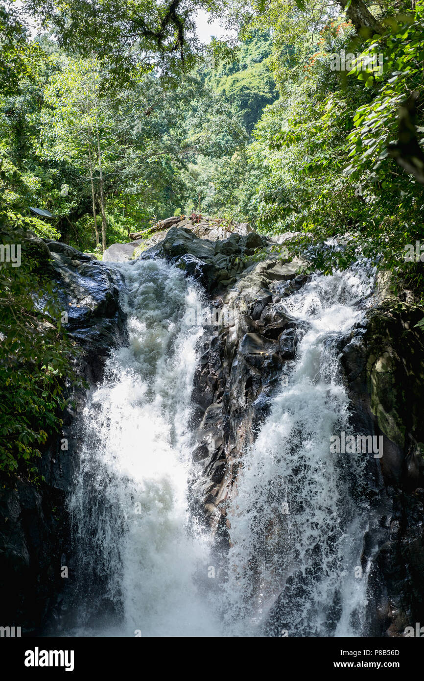 scenic view of Aling-Aling waterfall and various green plants, Bali ...