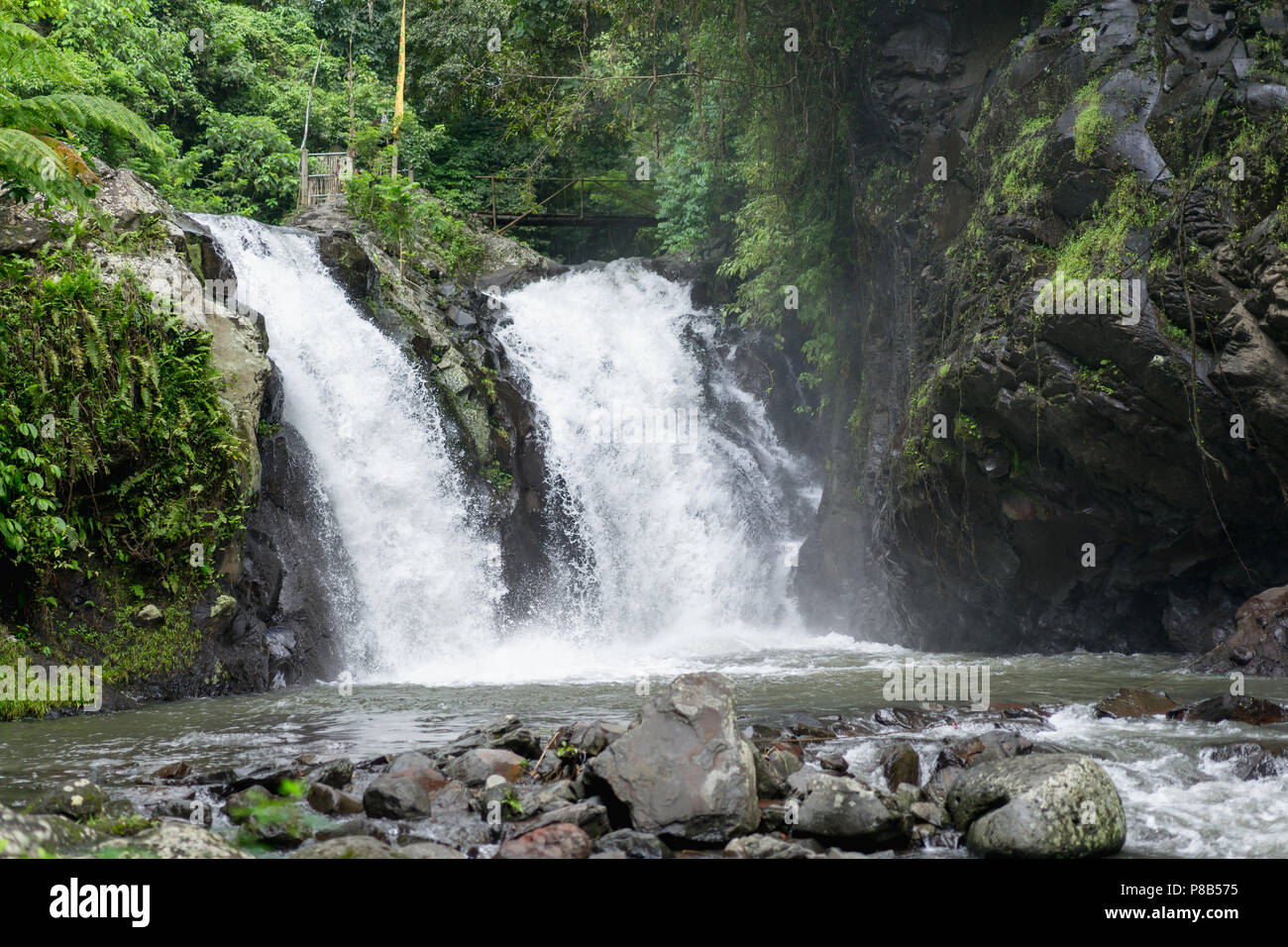 scenic view of Aling-Aling waterfall and various green plants, Bali ...