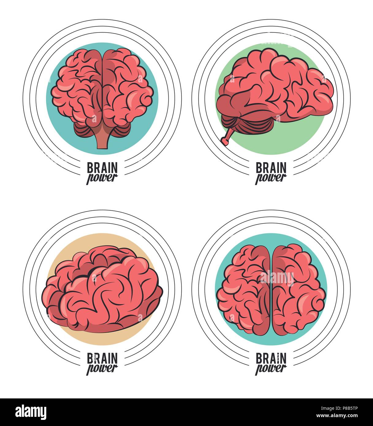 Set of brain power emblems Stock Vector Image & Art - Alamy