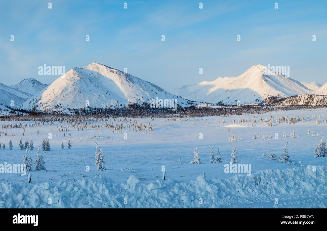 Kolyma Mountains Map Beautiful Scenic Landscape With Snow Covered Mountains And Fir Trees Kolyma Highway Russian Federation P8B6WN
