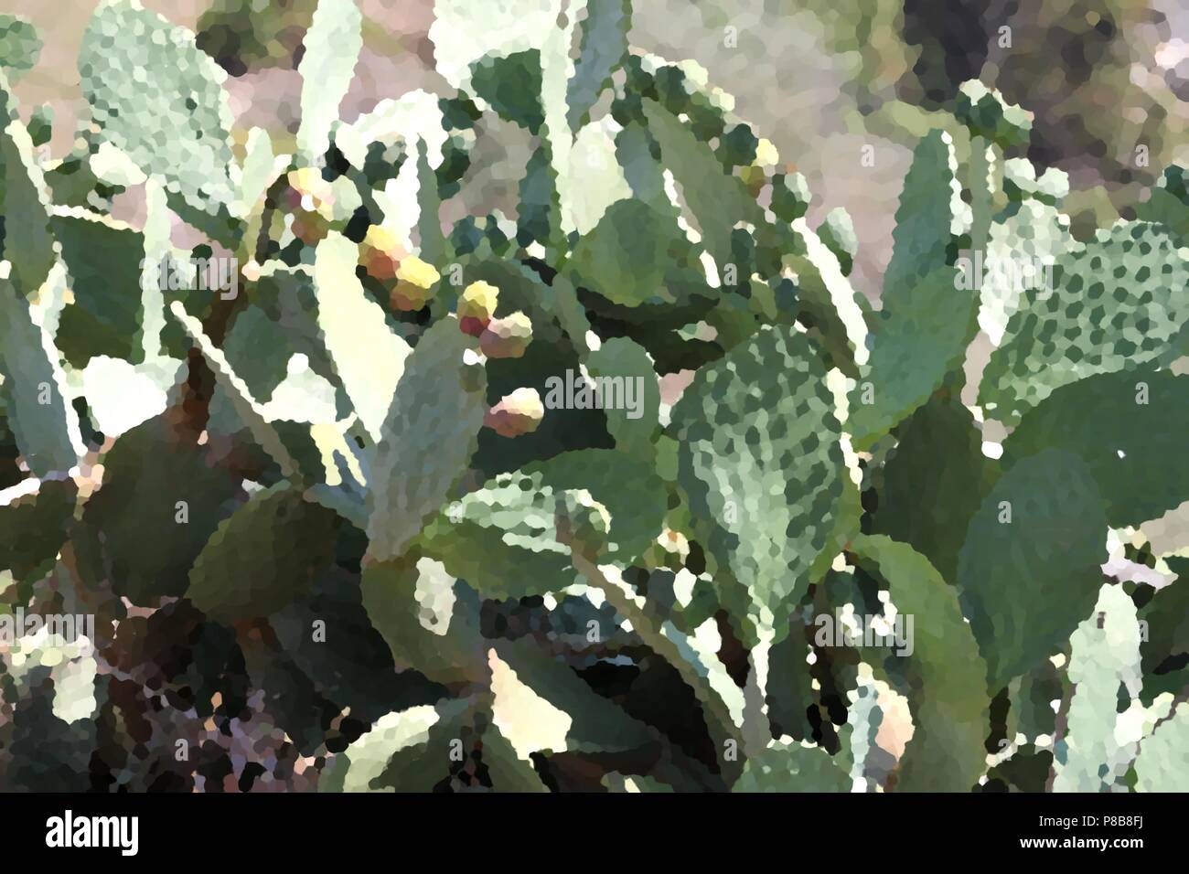 Illustration of a blossoming prickly cactus Stock Photo