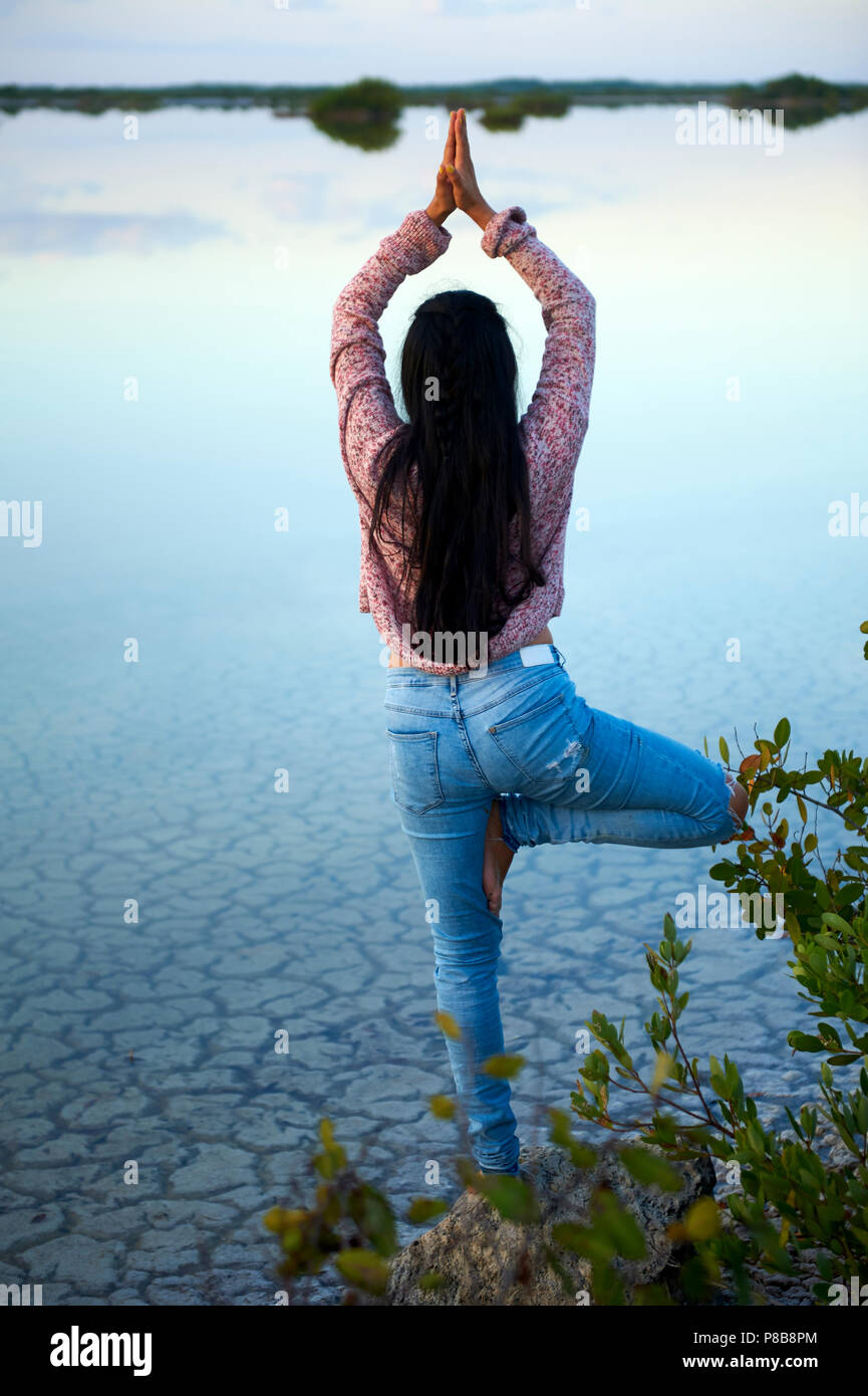 Young woman in a standing yoga tree pose by a mangrove Stock Photo - Alamy