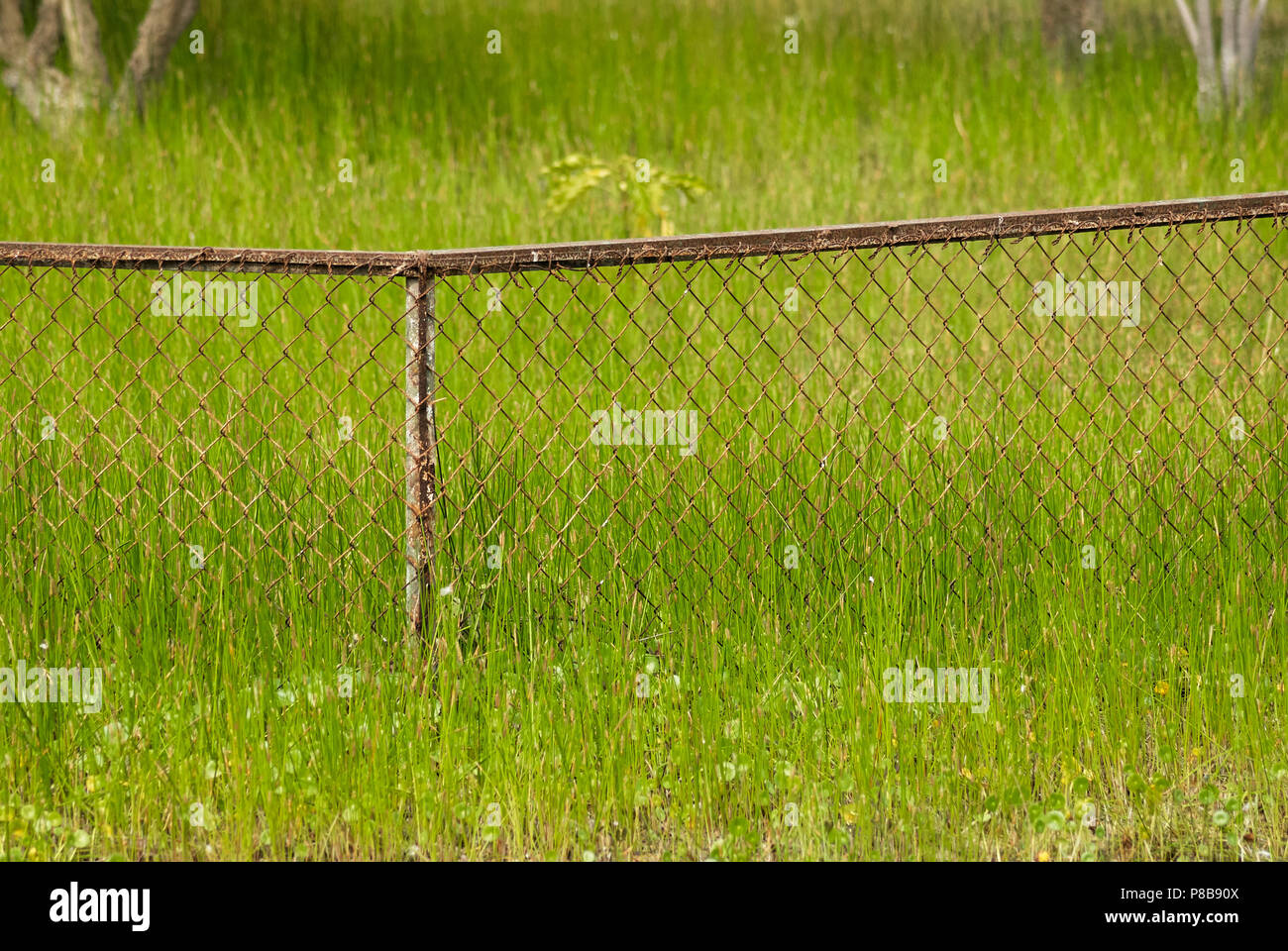 Corroded wire mesh fence outdoors Stock Photo Alamy