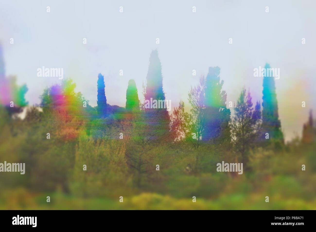 Trees with prism reflections. Colorful landscape abstract blur. Stock Photo