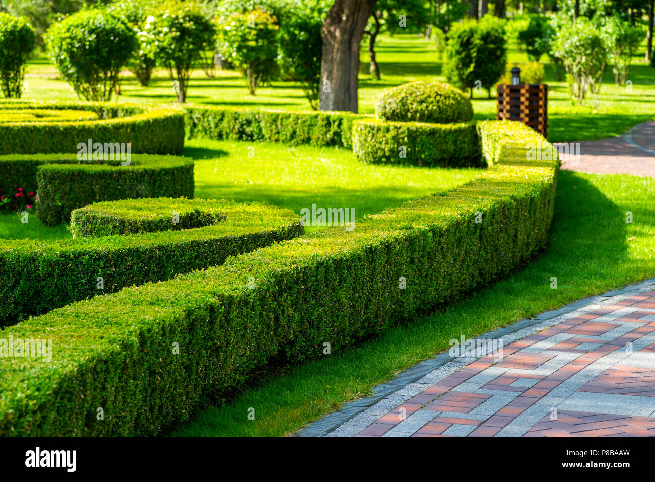 Geometric bushes and a lawn Stock Photo - Alamy