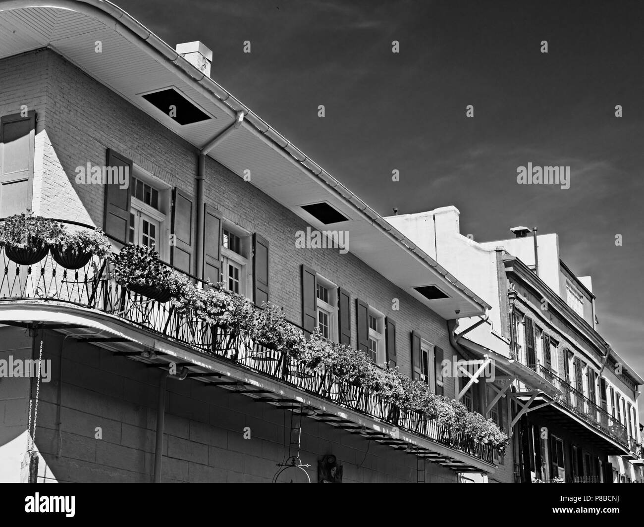 New Orleans, LA USA - May 9, 2018  -  Old French Quarter Building with Balcony with Flowers #8 B&W Stock Photo