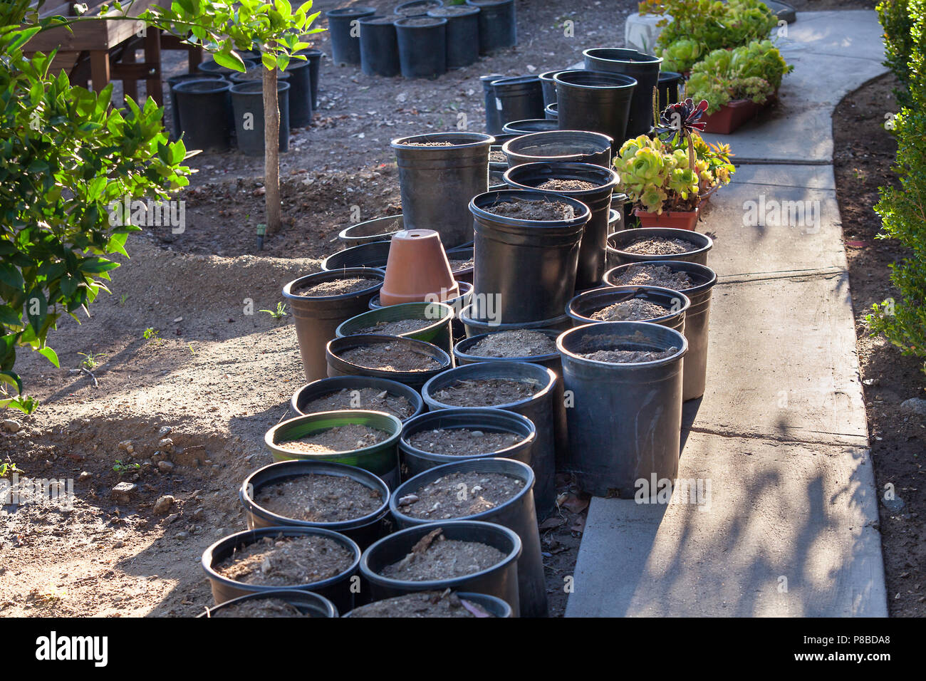 Flower pots with empty dirt, in the garden Stock Photo Alamy