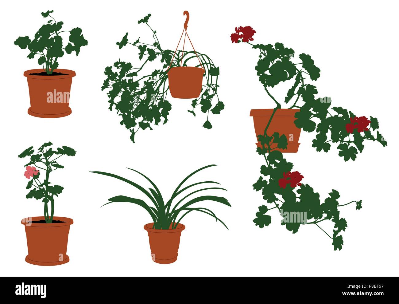 Set of different flowers in pots isolated on white Stock Vector Image ...