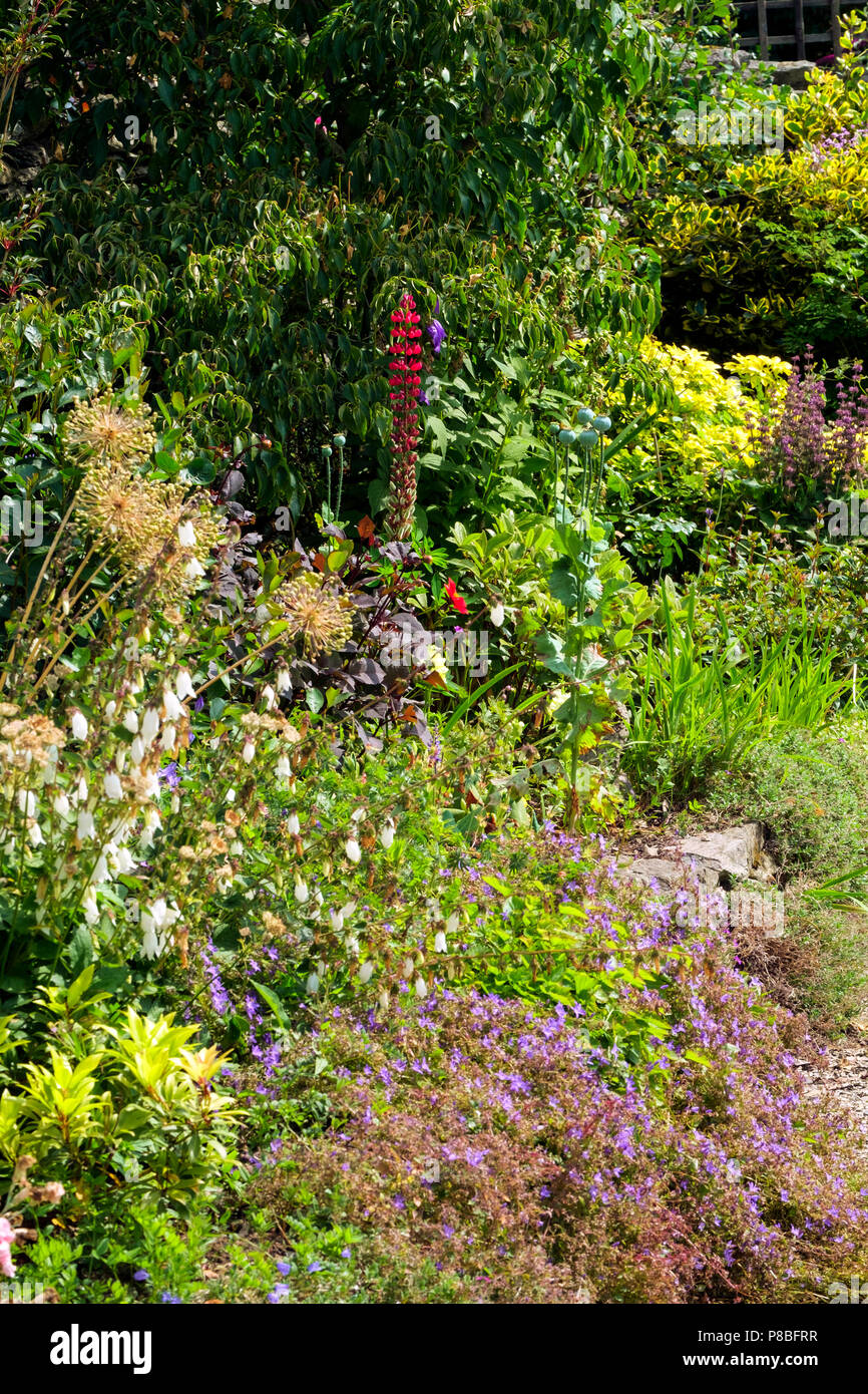 Summer colour flower border hi-res stock photography and images - Alamy