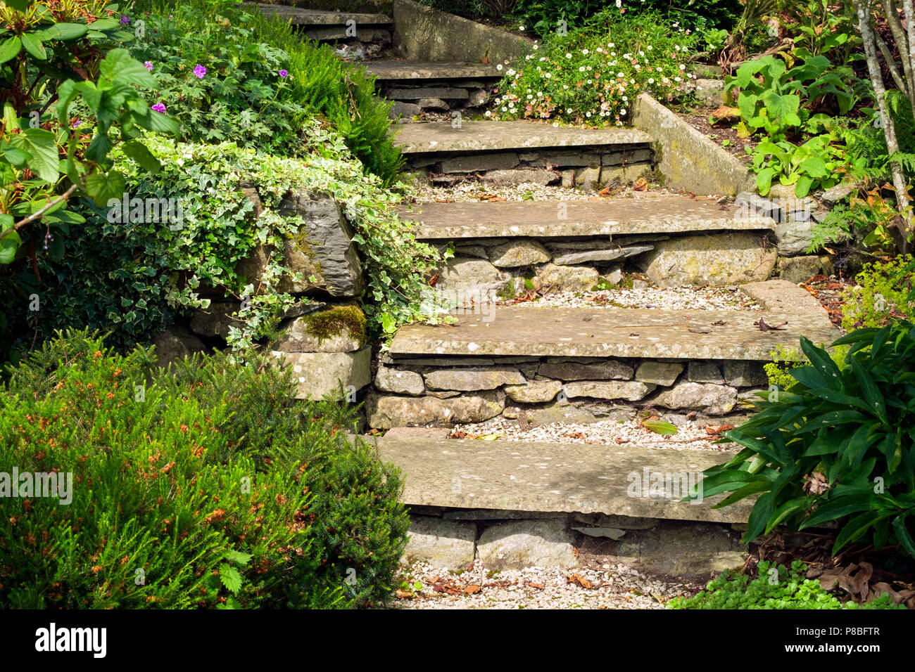 Mature Summer Garden Shrubs Crowded Alongside Rustic Stone Slab Path Steps Stock Photo Alamy