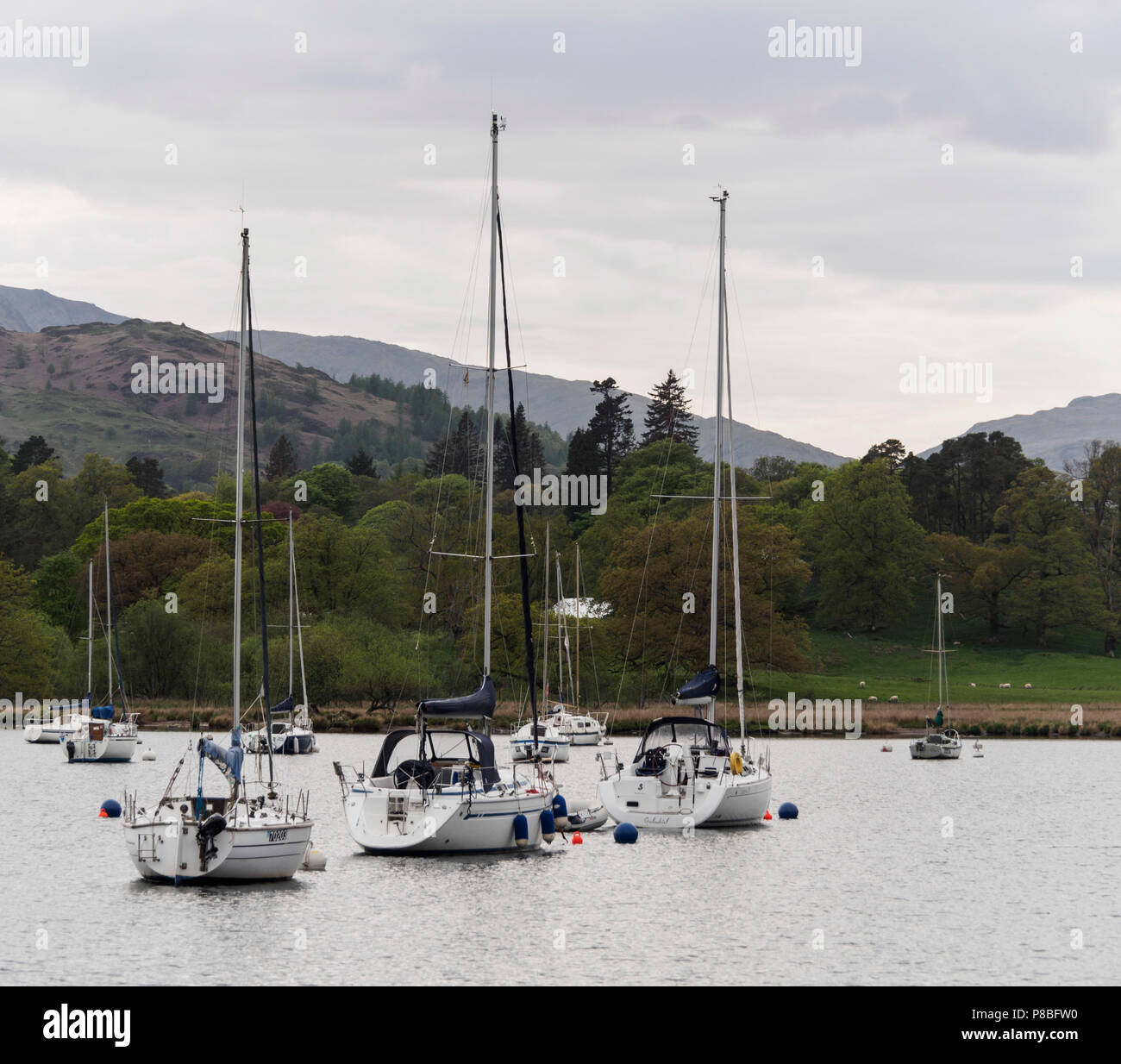Ambleside, English Lake District, Cumbria - moored yachts. Stock Photo