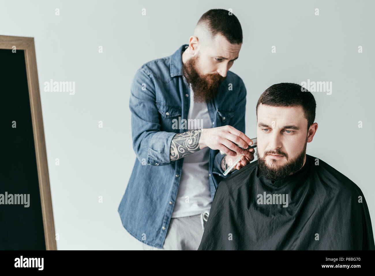 barber trimming client beard at barbershop isolated on white Stock Photo