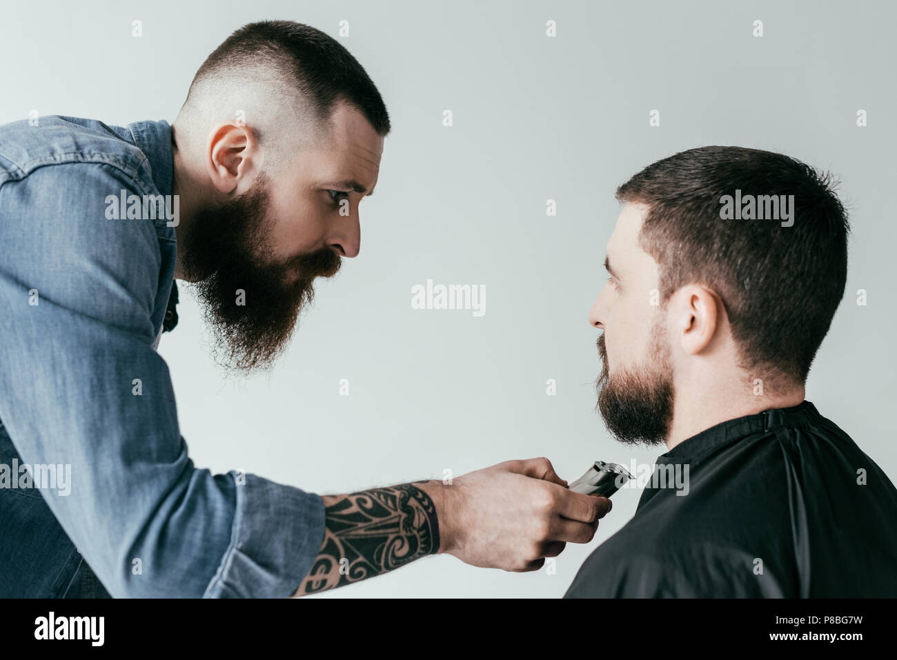 barber trimming customer beard at barbershop isolated on white Stock Photo