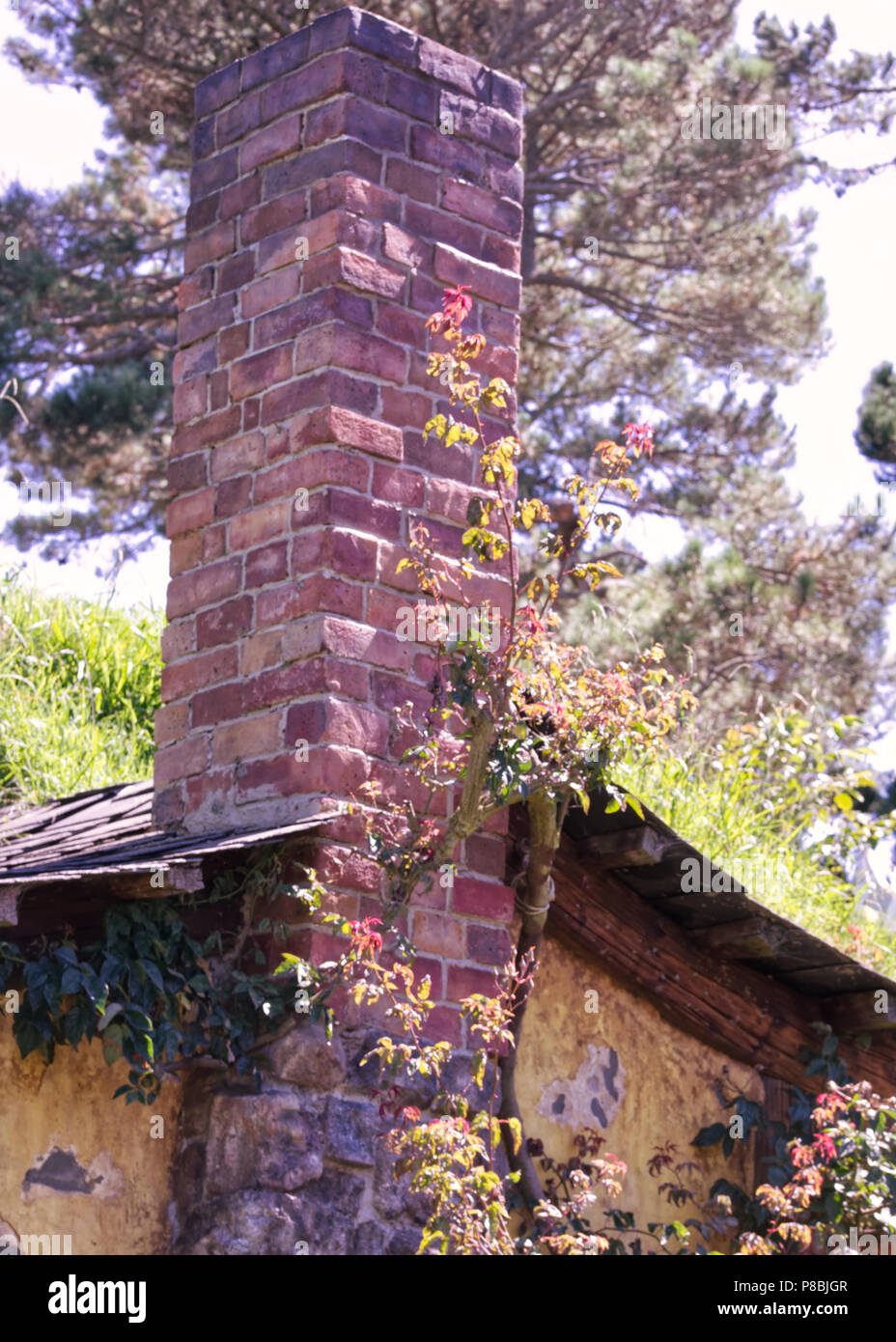 chimney at the Hobbiton movie set, Matamata Nz Stock Photo