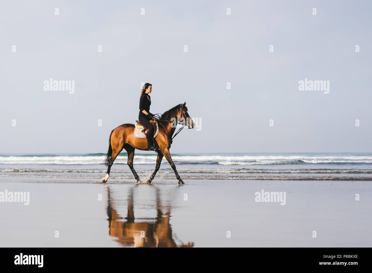 young female equestrian riding horse on sandy beach Stock Photo - Alamy