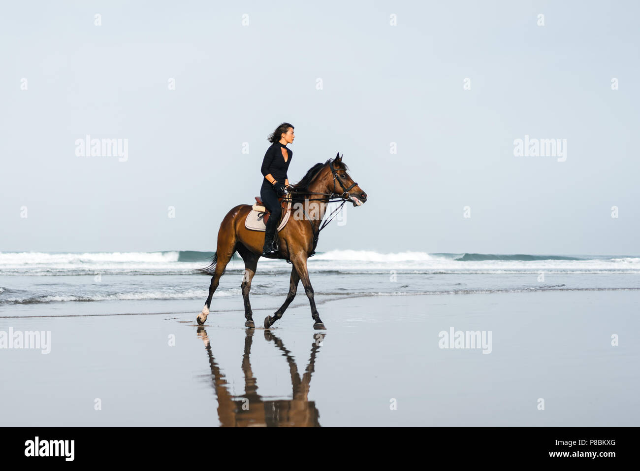 Beach Rode Side Profile side view of young female equestrian riding horse on sandy beach Stock ...