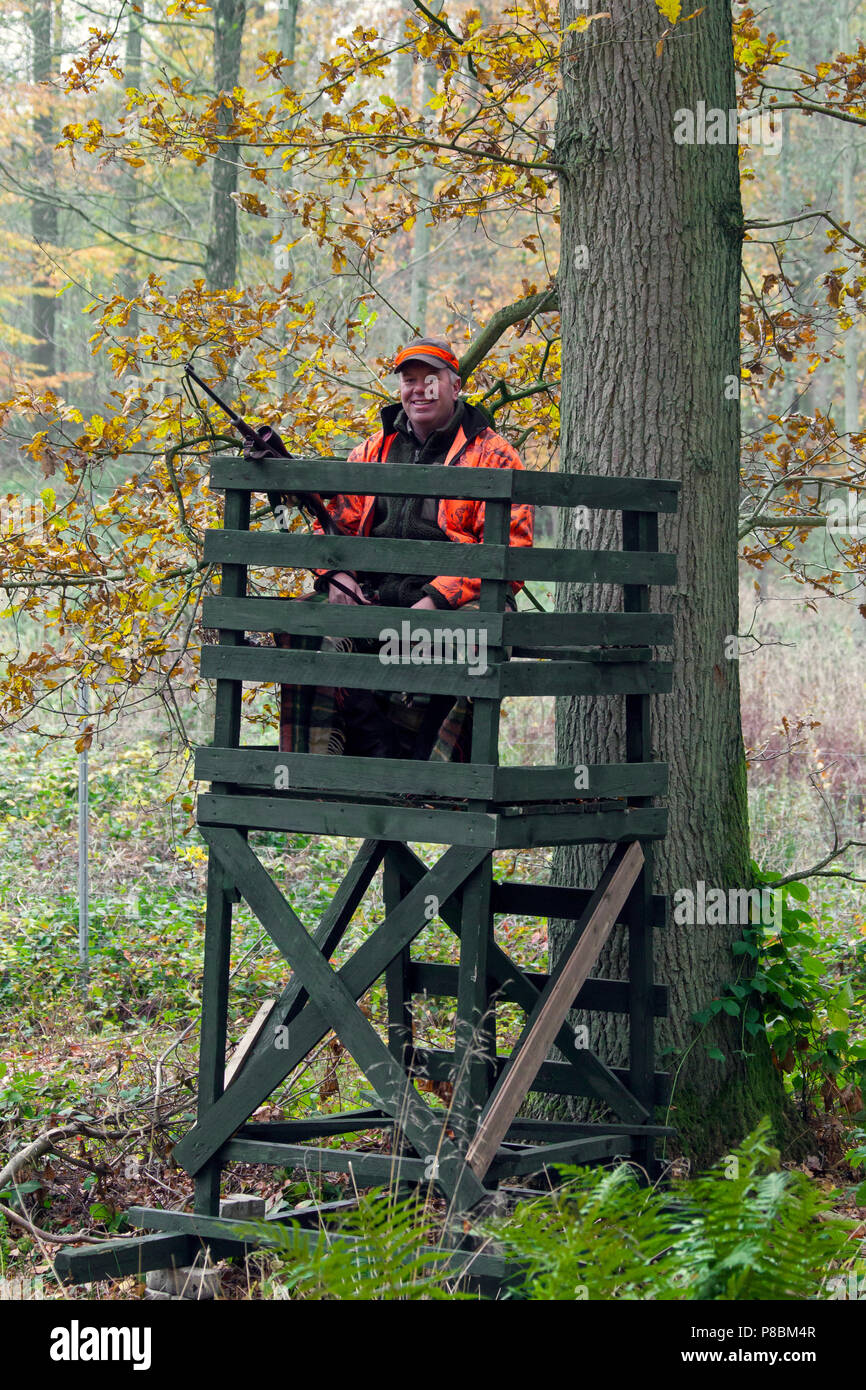 Big game hunter dressed in orange waiting in raised hide to shoot deer in forest during the hunting season in autumn Stock Photo