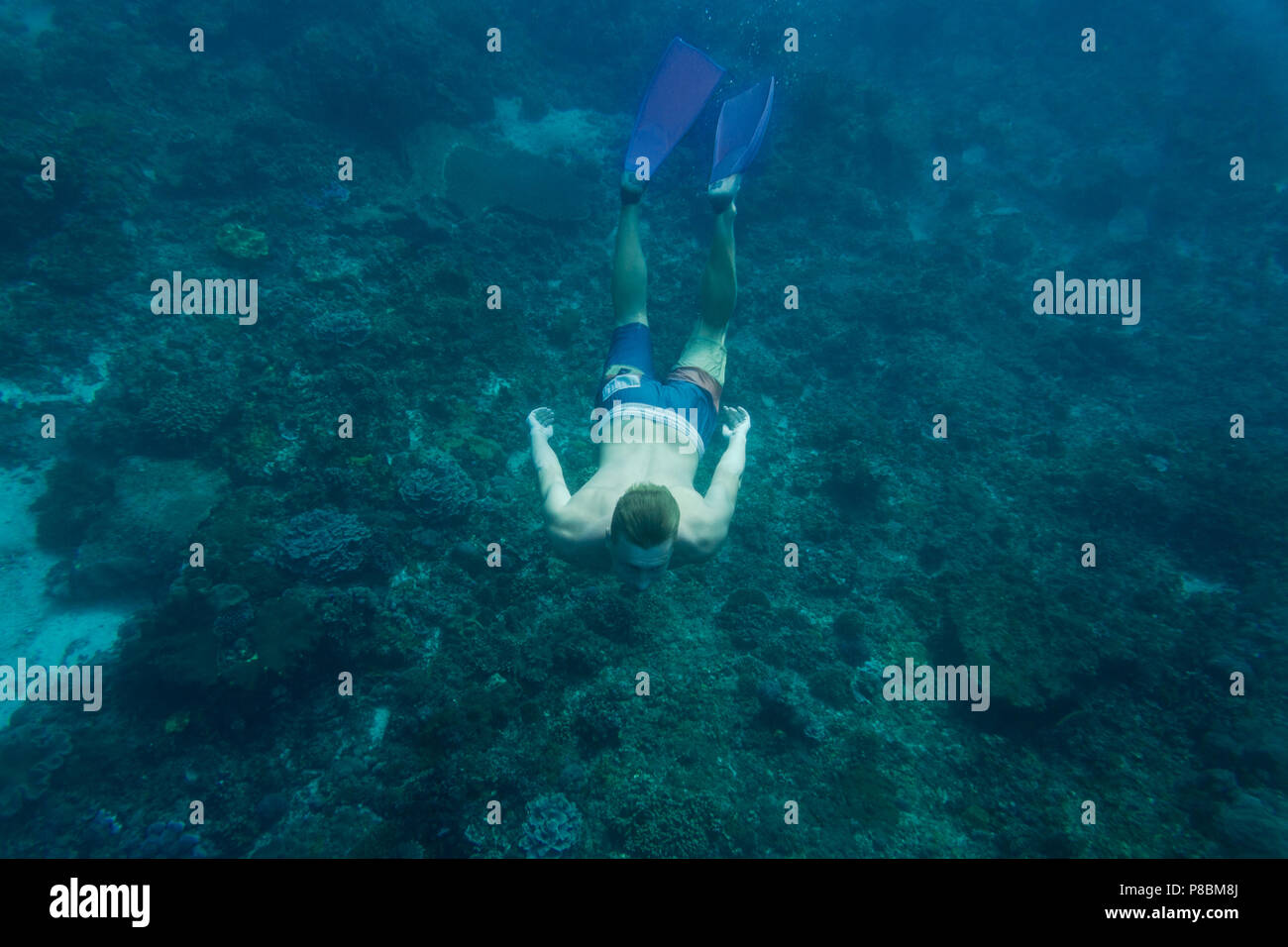 underwater photo of young man in flippers diving in ocean alone Stock