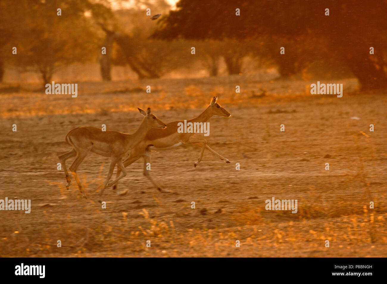 Velocity And People Stock Photos \u0026 Velocity And People Stock Images  Alamy