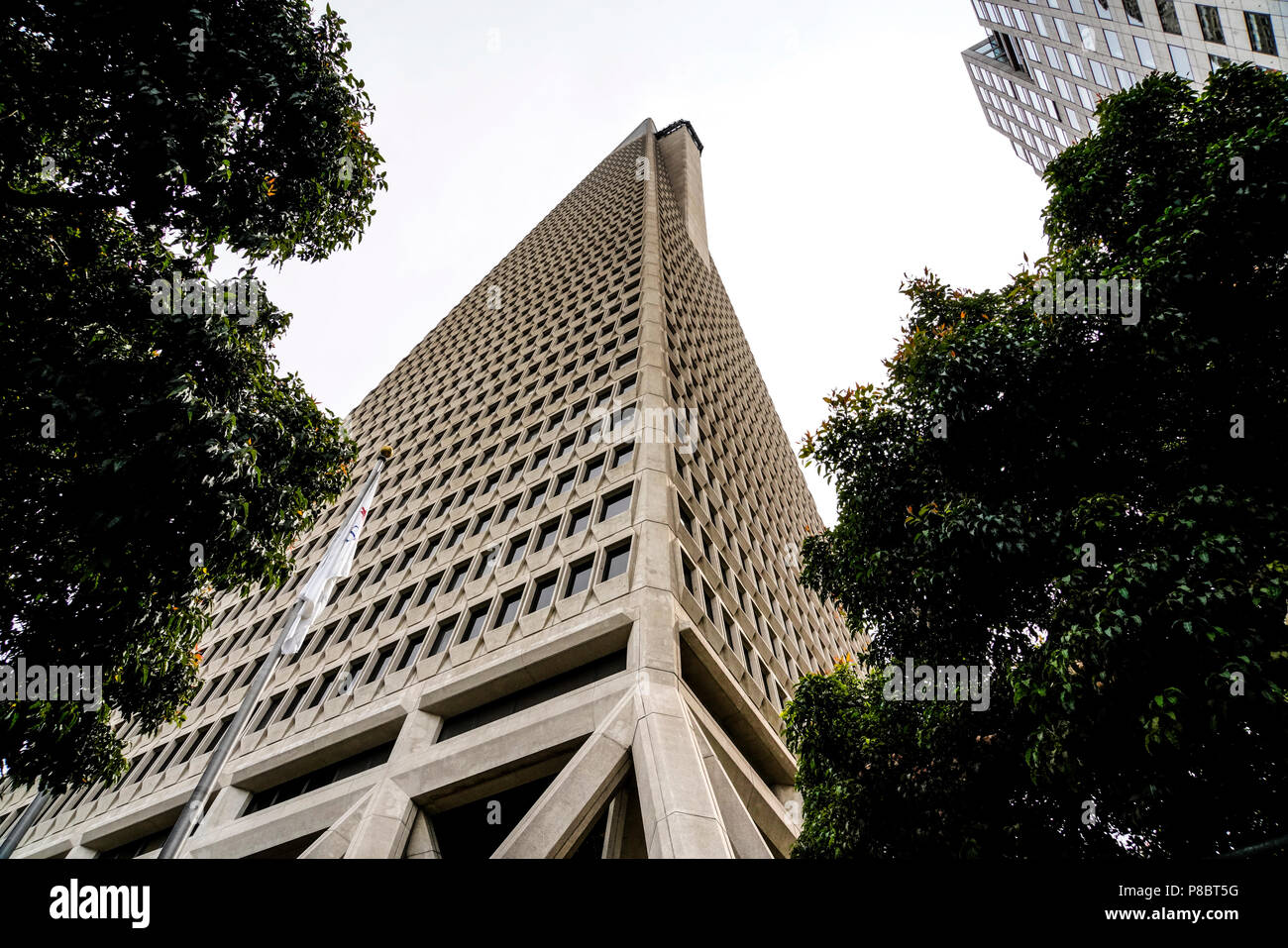 Trsmdameraeica Office Building in San Francisco California Stock Photo