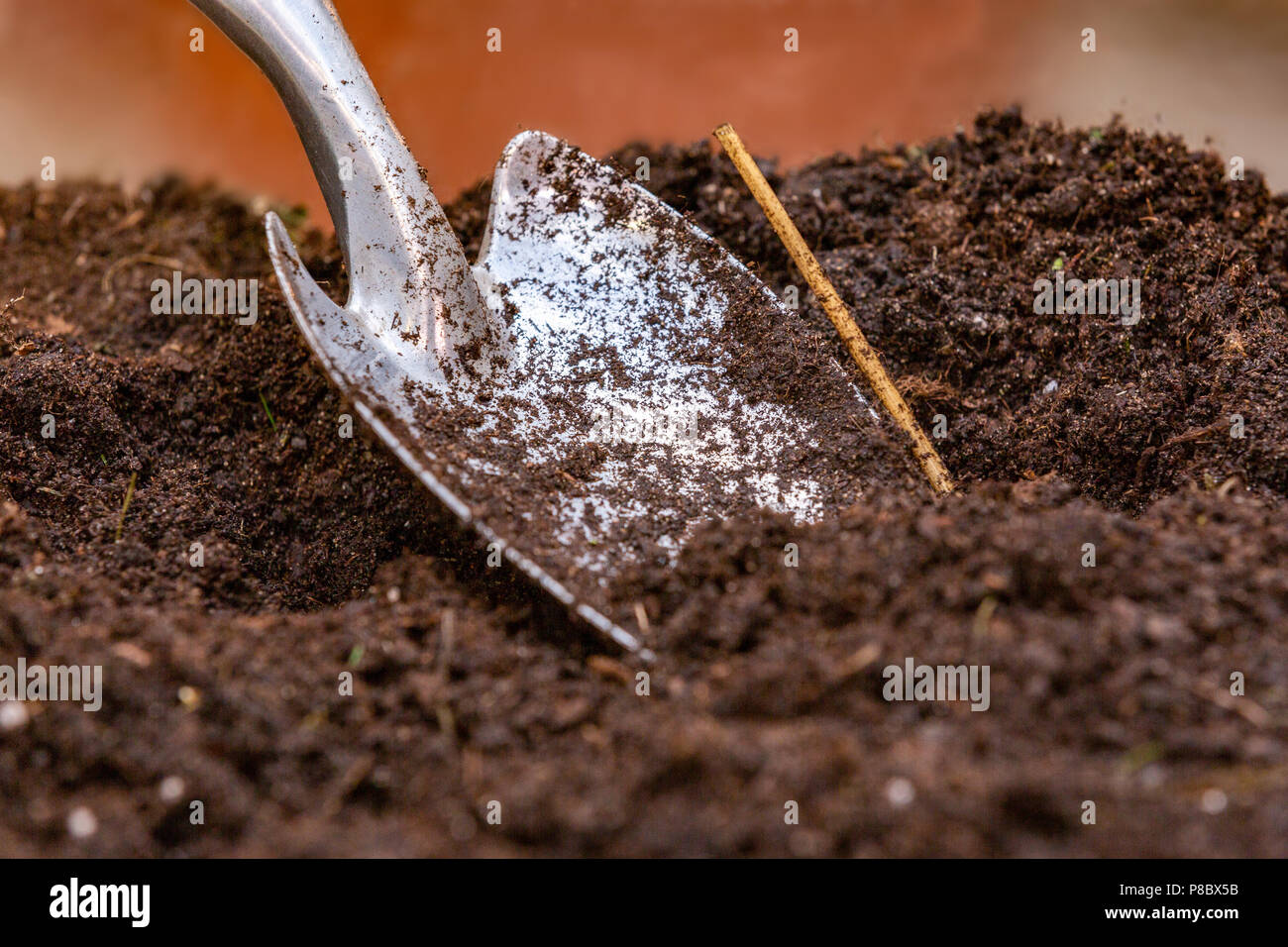 garden shovel stuck in the ground Stock Photo - Alamy