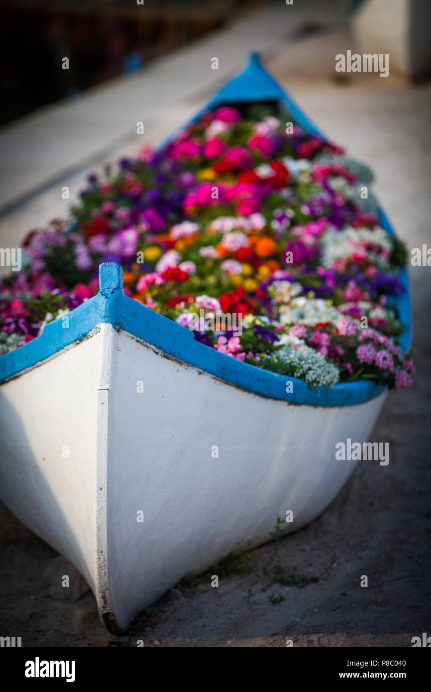 Color image of a wooden boat filled with various flowers Stock Photo ...