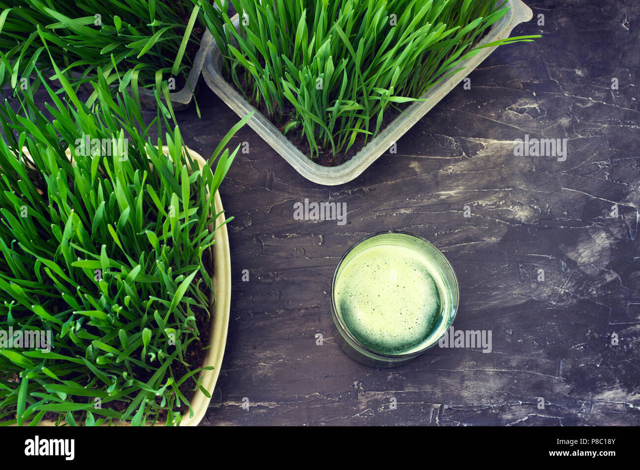 Organic wheat grass juice beside a wheat grass plant Stock Photo