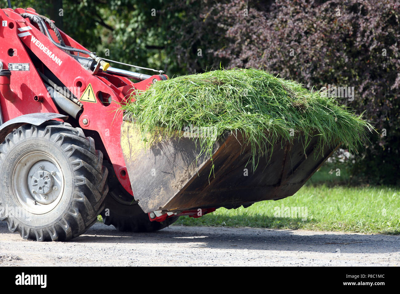 Gestuet Goerlsdorf, freshly mowed grass is transported in a bucket Stock Photo