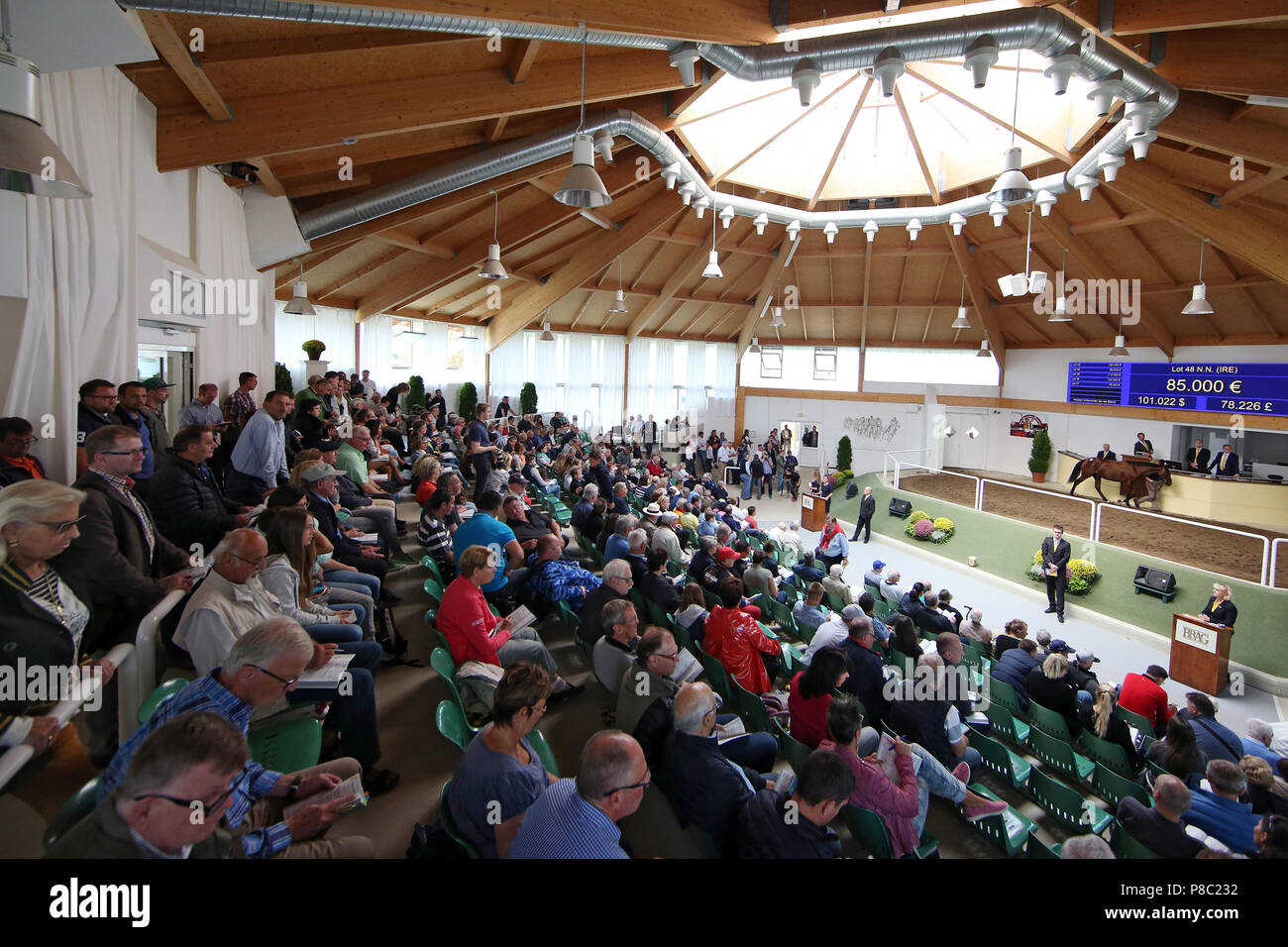 Iffezheim, interior view of the auction hall Stock Photo