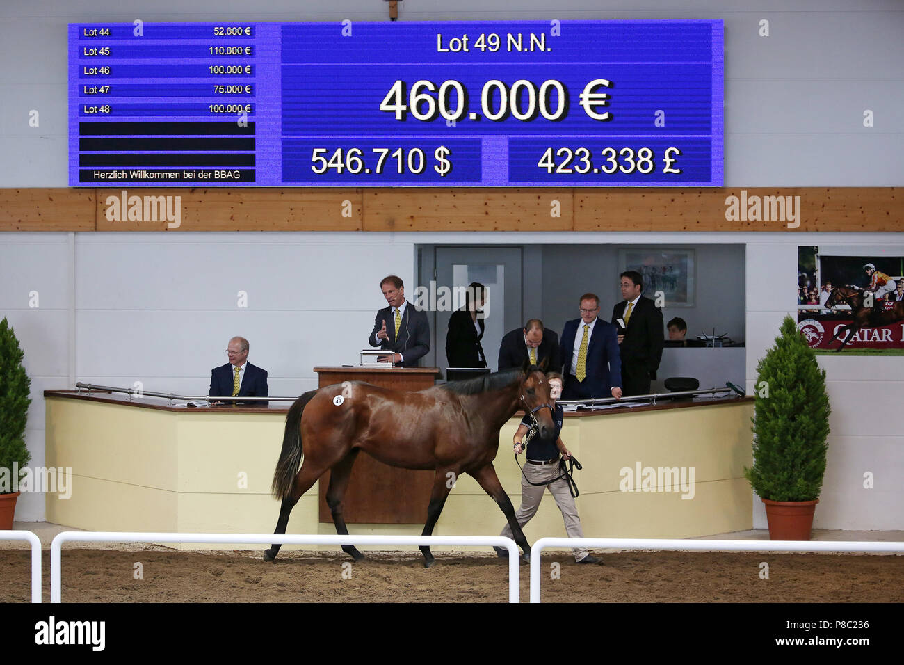 Iffezheim, Lot 49, stallion by Sea the Moon from Favorite in the auction ring Stock Photo