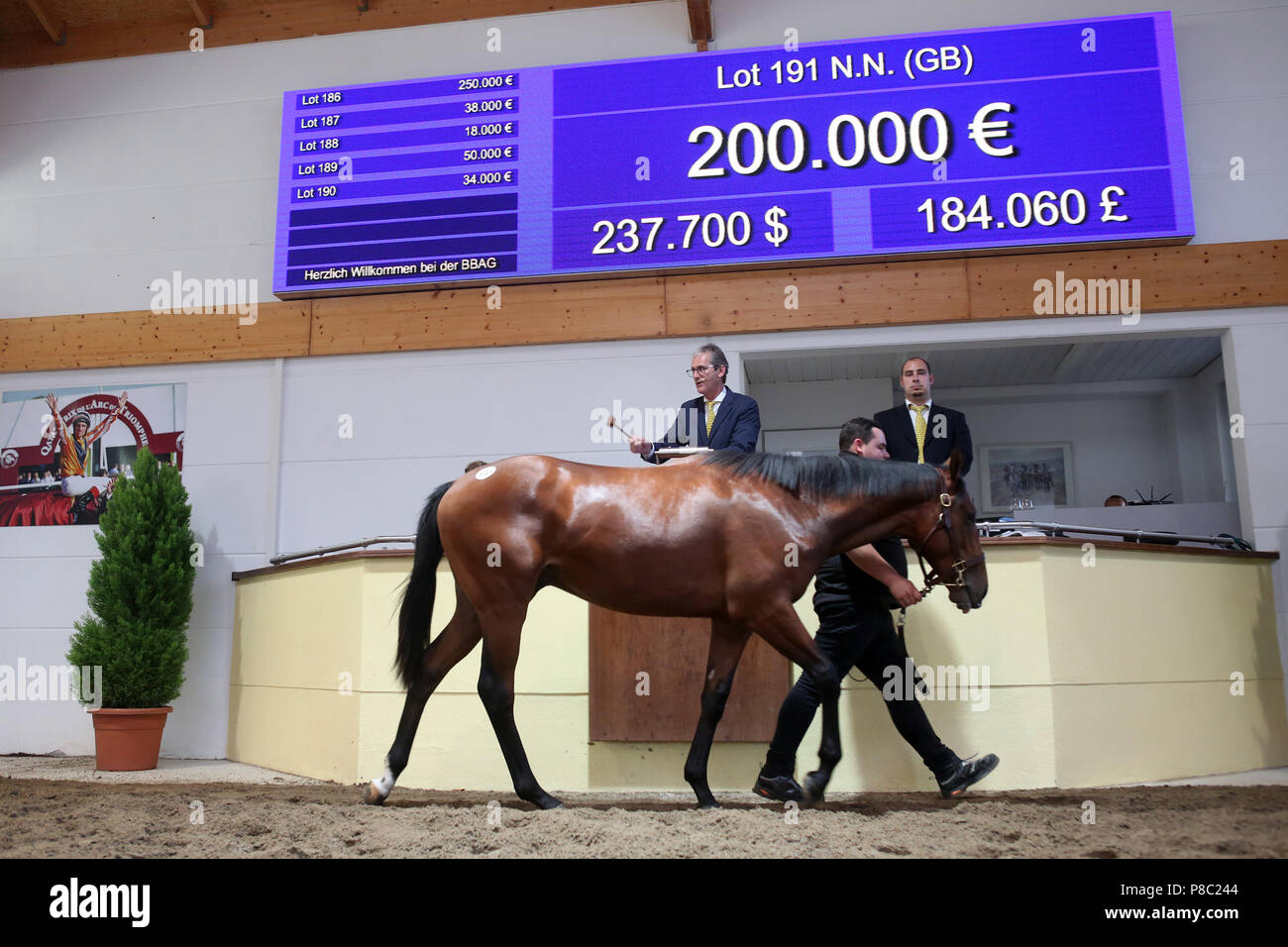 Iffezheim, Lot 191, stallion by Sea the Stars from the Intimhir in the auction ring Stock Photo