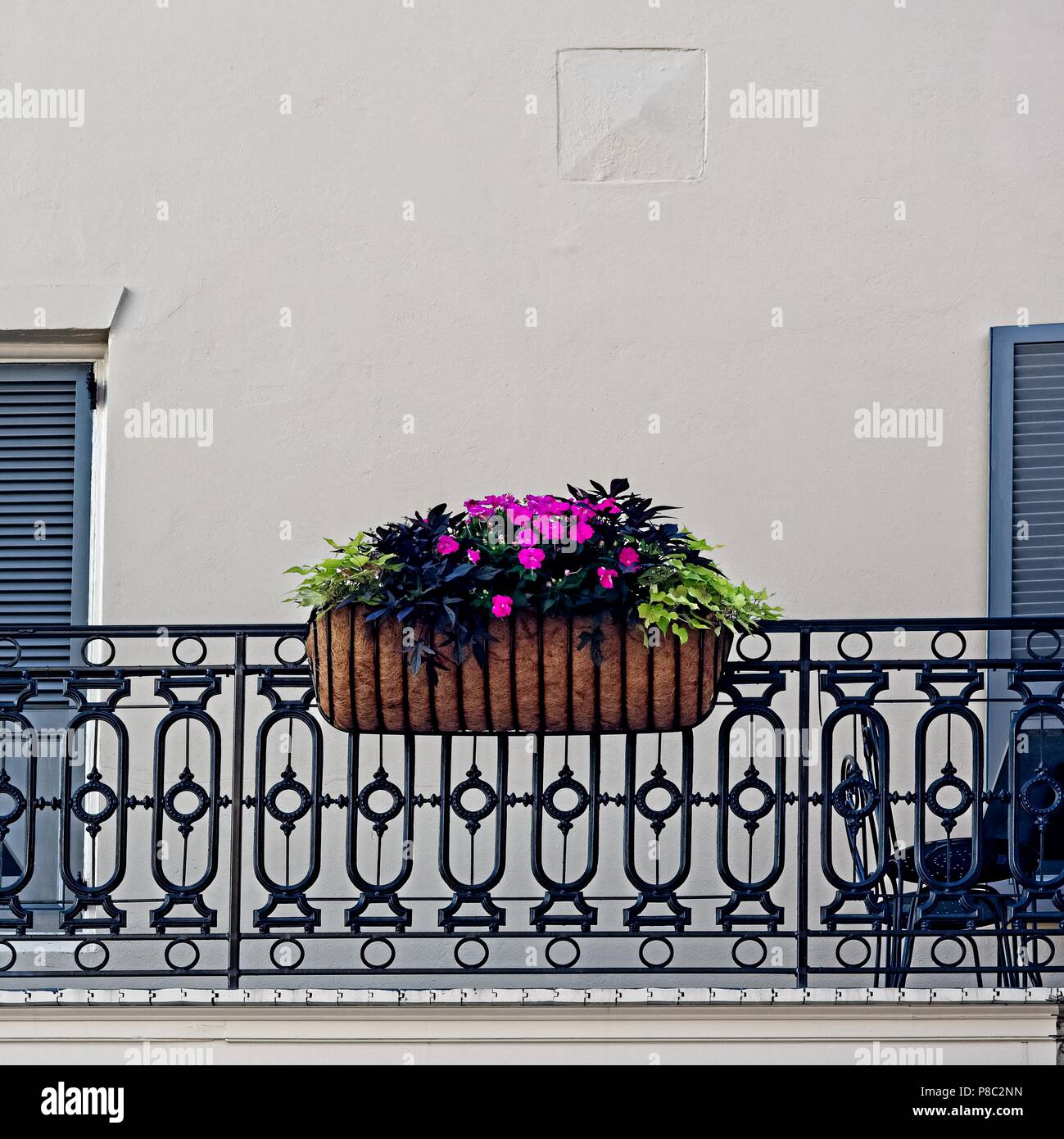 New Orleans, LA USA May 9, 2018 Flowers in Basket on Baloney in The