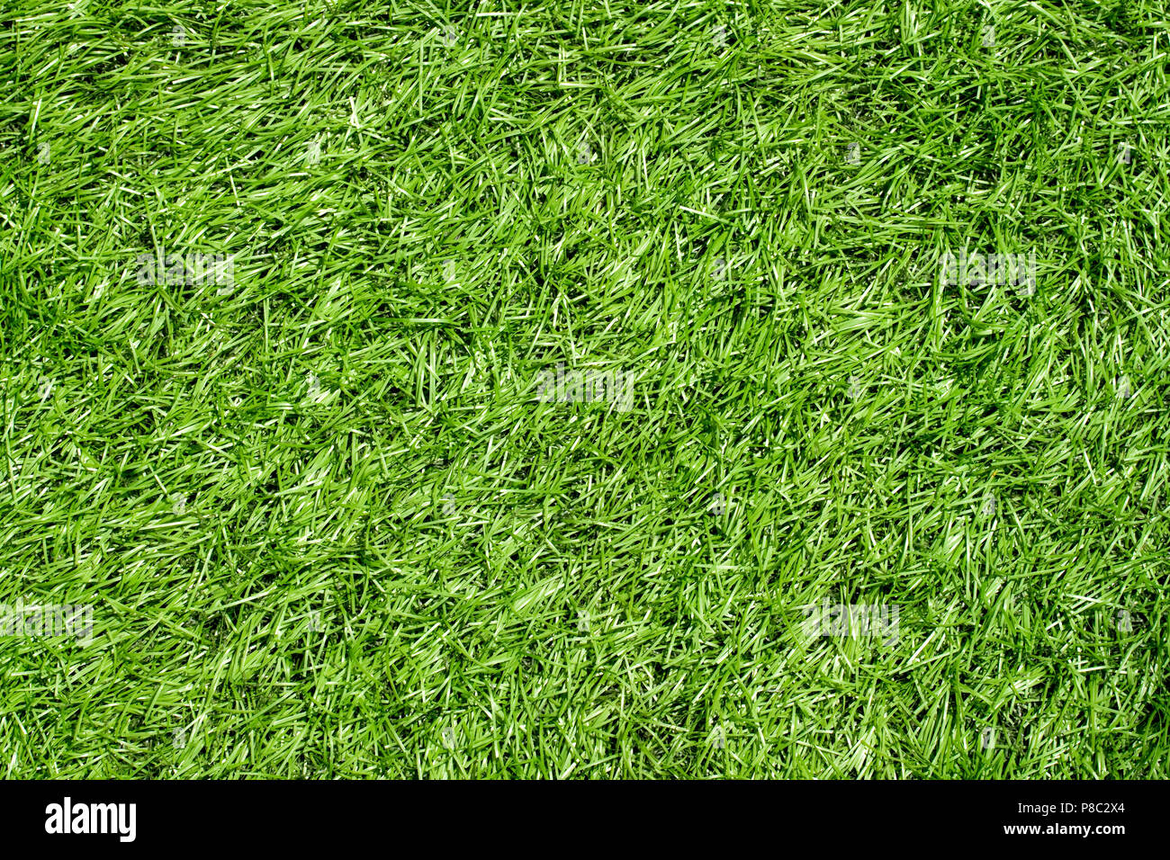 Green grass seamless texture Stock Photo