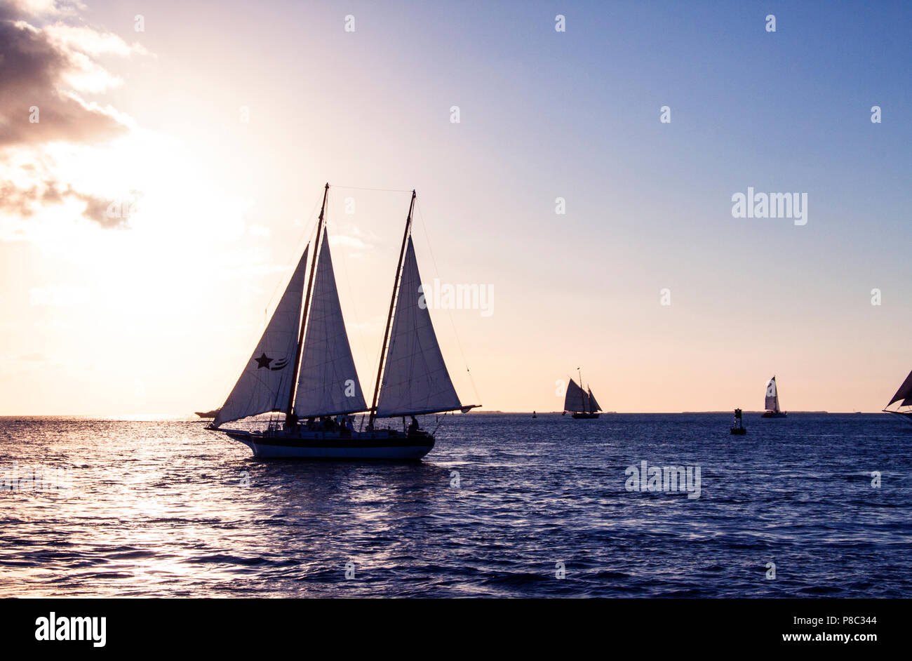 Sailboat at the atlantic ocean in Keywest with the sunset Stock Photo ...