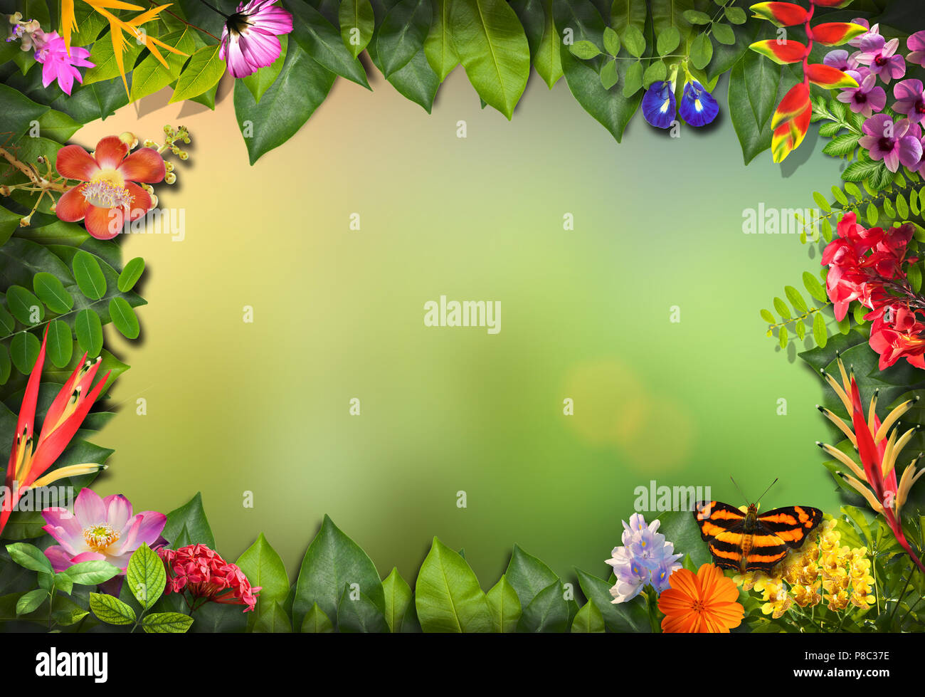 Nature border with flower and green leaf background, Nature border