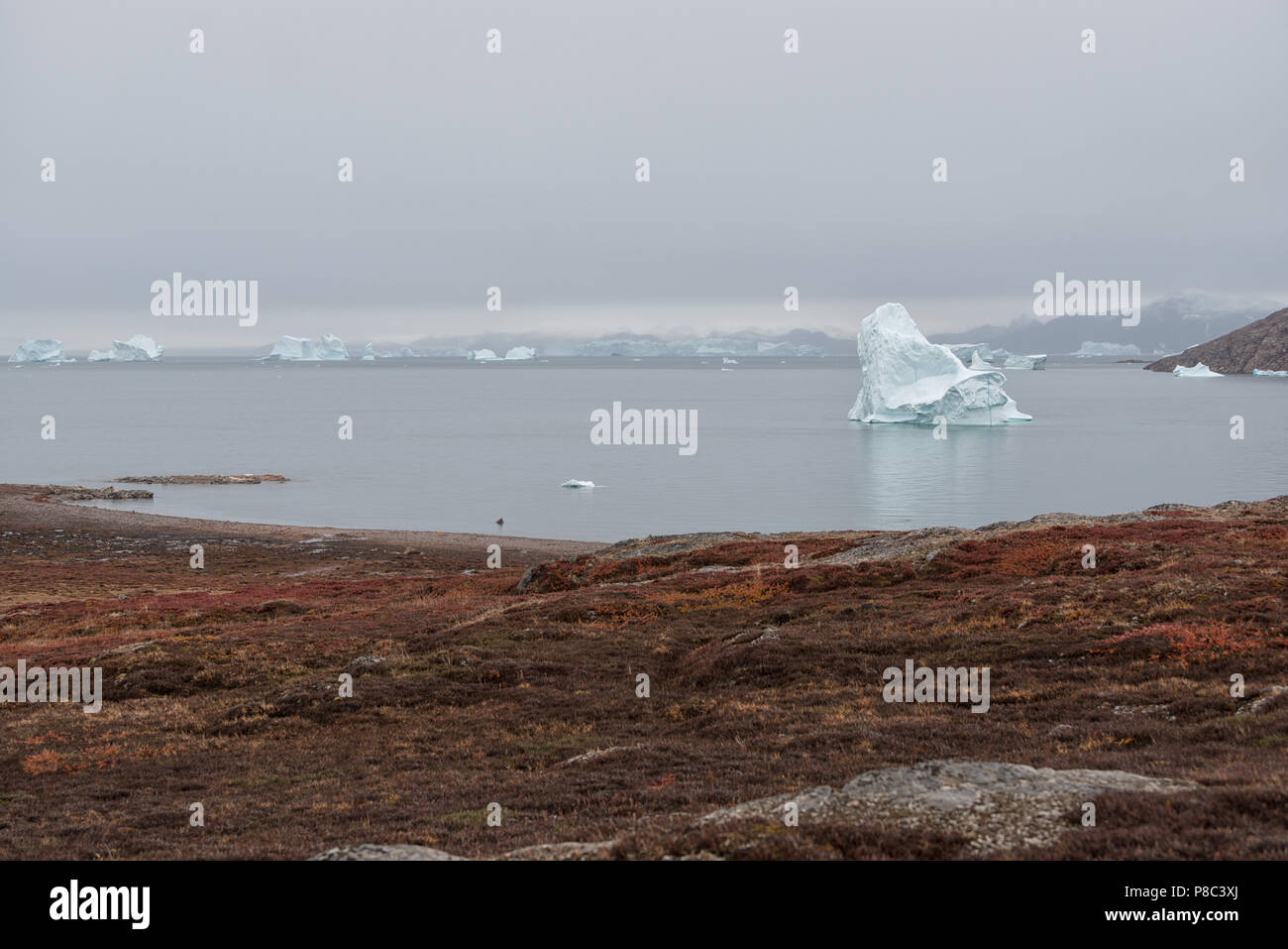 Kangertittivaq, Greenland. Huge iceberg in fjord Scoresby Sund. Stock Photo
