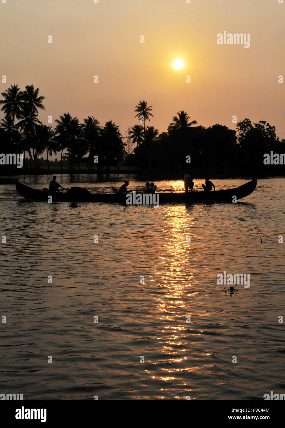 India/Land of the goods Backwater Cruise at sunset near Alleppy in