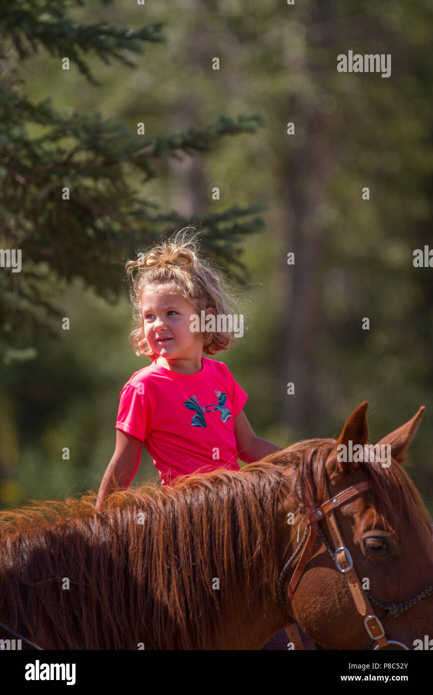 Young attractive, blonde, girl, goig horse back riding, sitting in ...