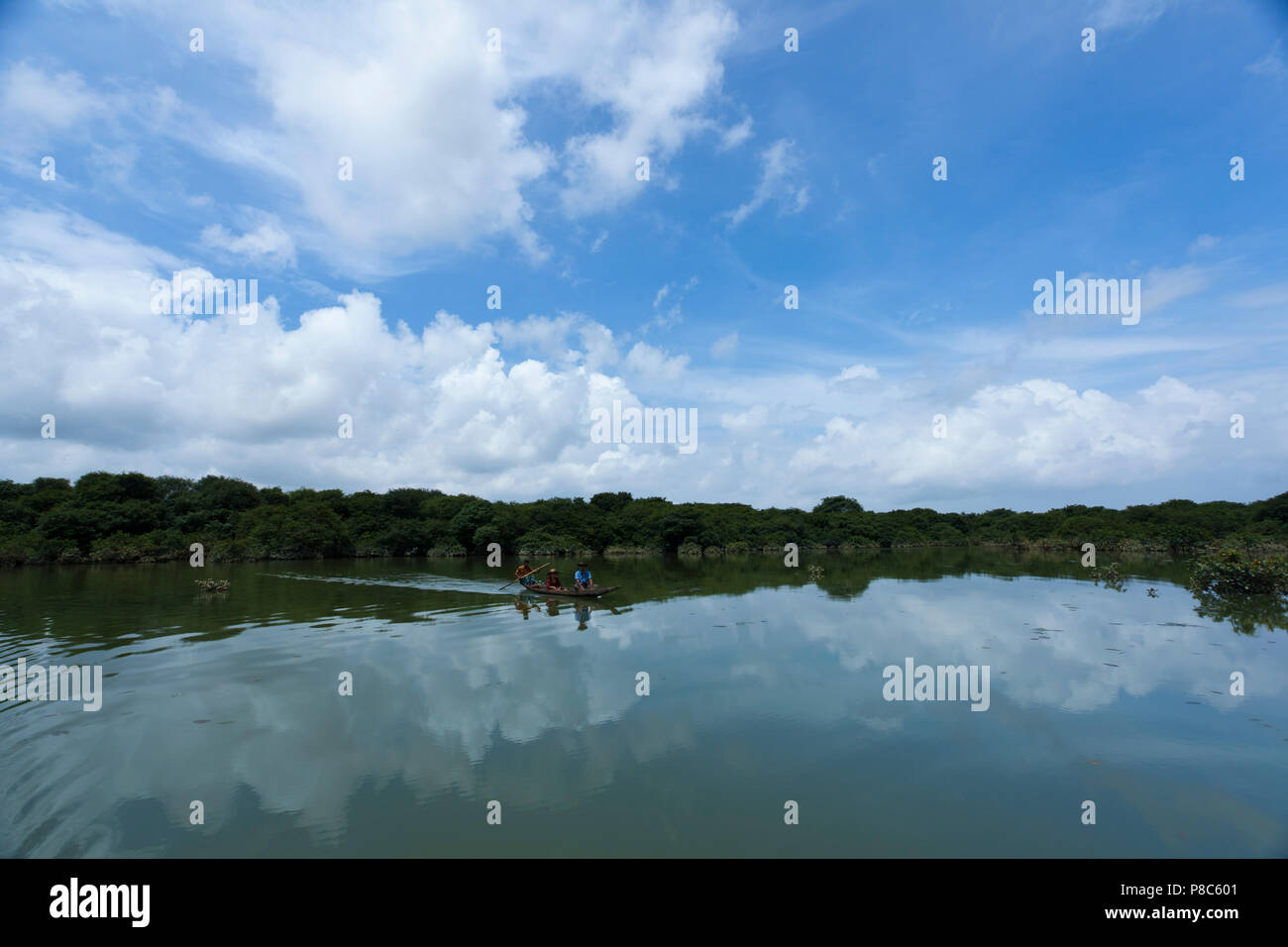 Ratargul is a fresh water swamp forest situated in Sylhet by the river of Goain. This evergreen forest is getting submerged under 20 to 30 feet water  Stock Photo