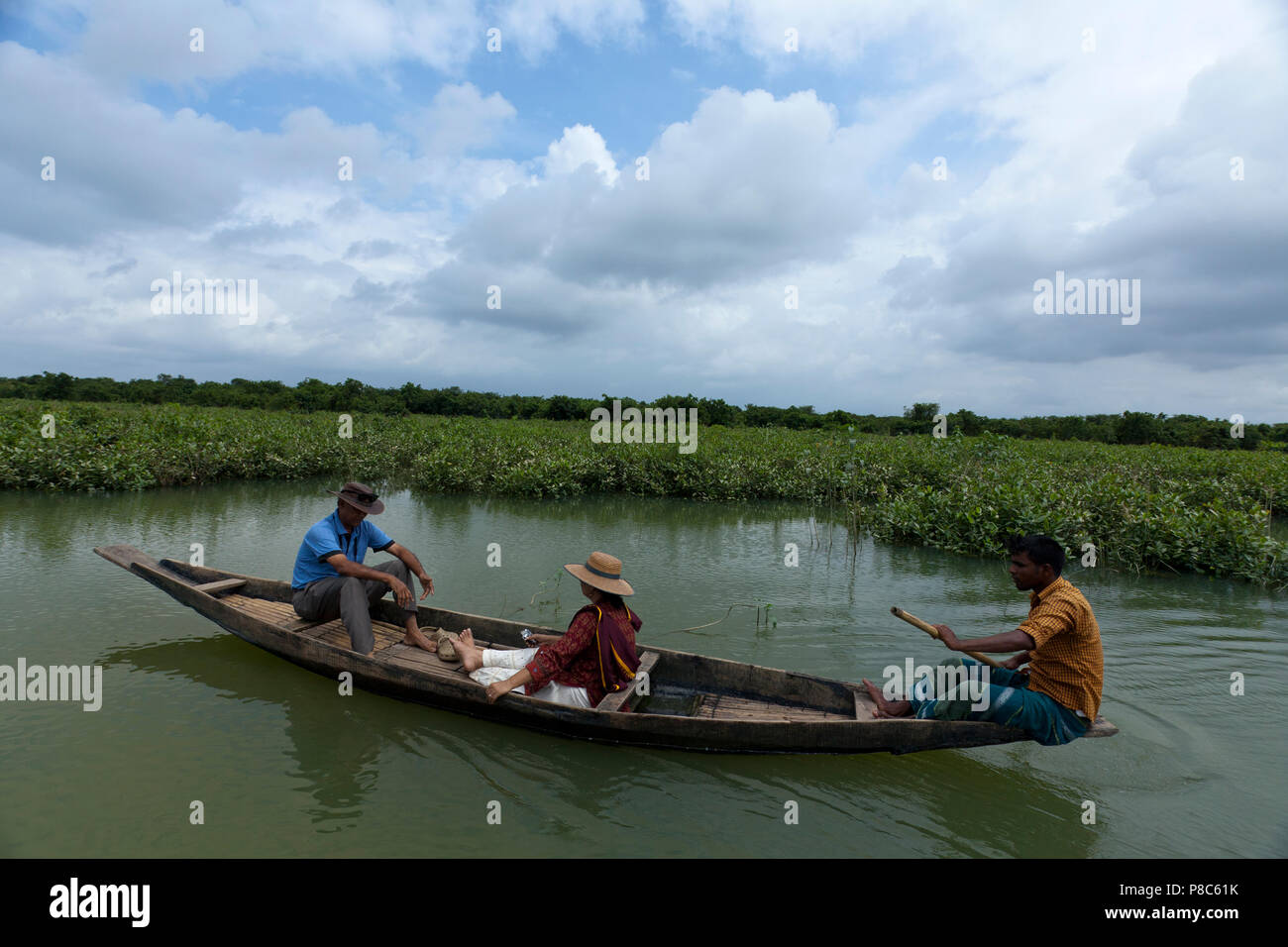 Ratargul is a fresh water swamp forest situated in Sylhet by the river of Goain. This evergreen forest is getting submerged under 20 to 30 feet water  Stock Photo