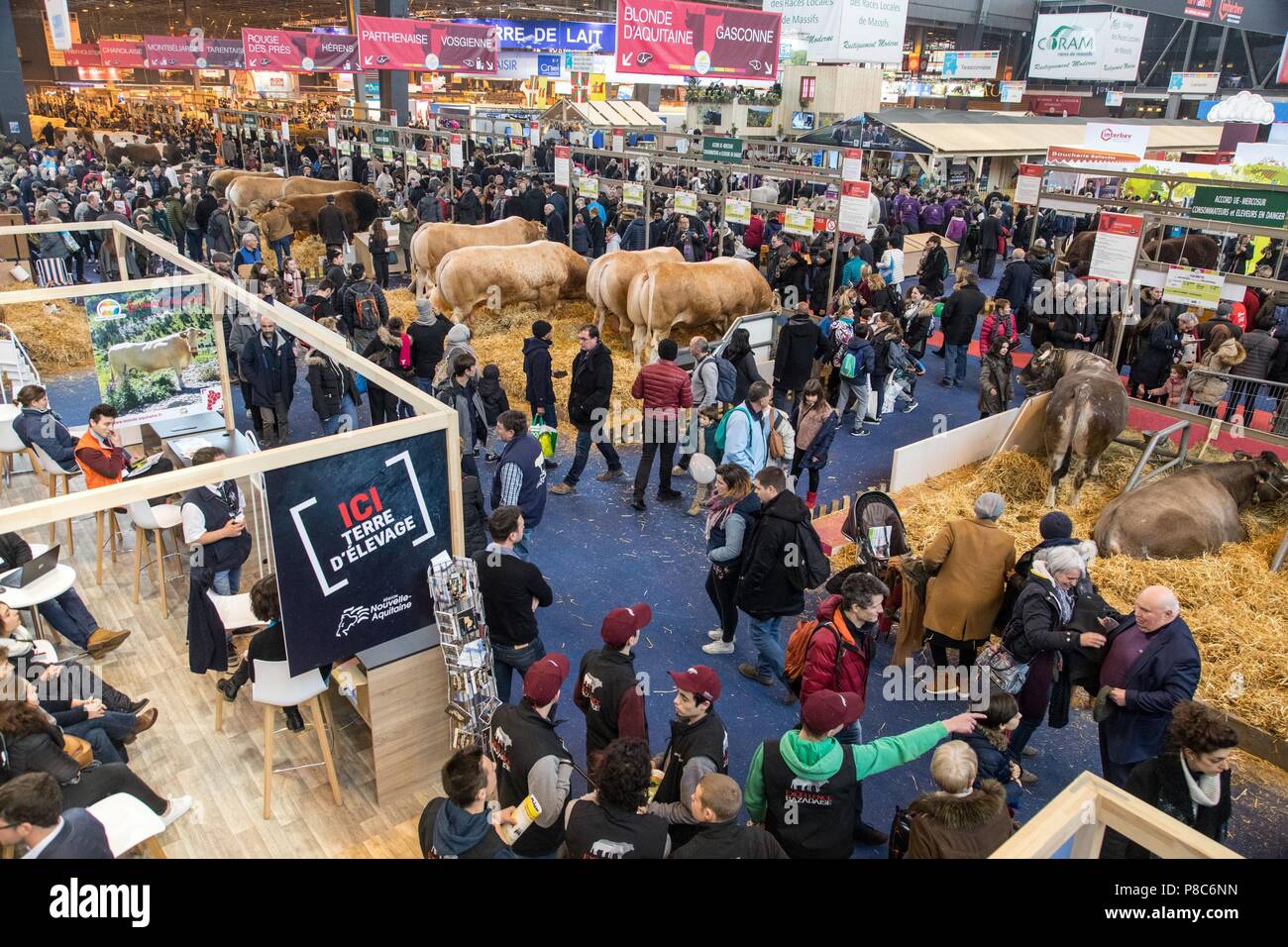 AGRICULTURAL SHOW, PARIS Stock Photo Alamy