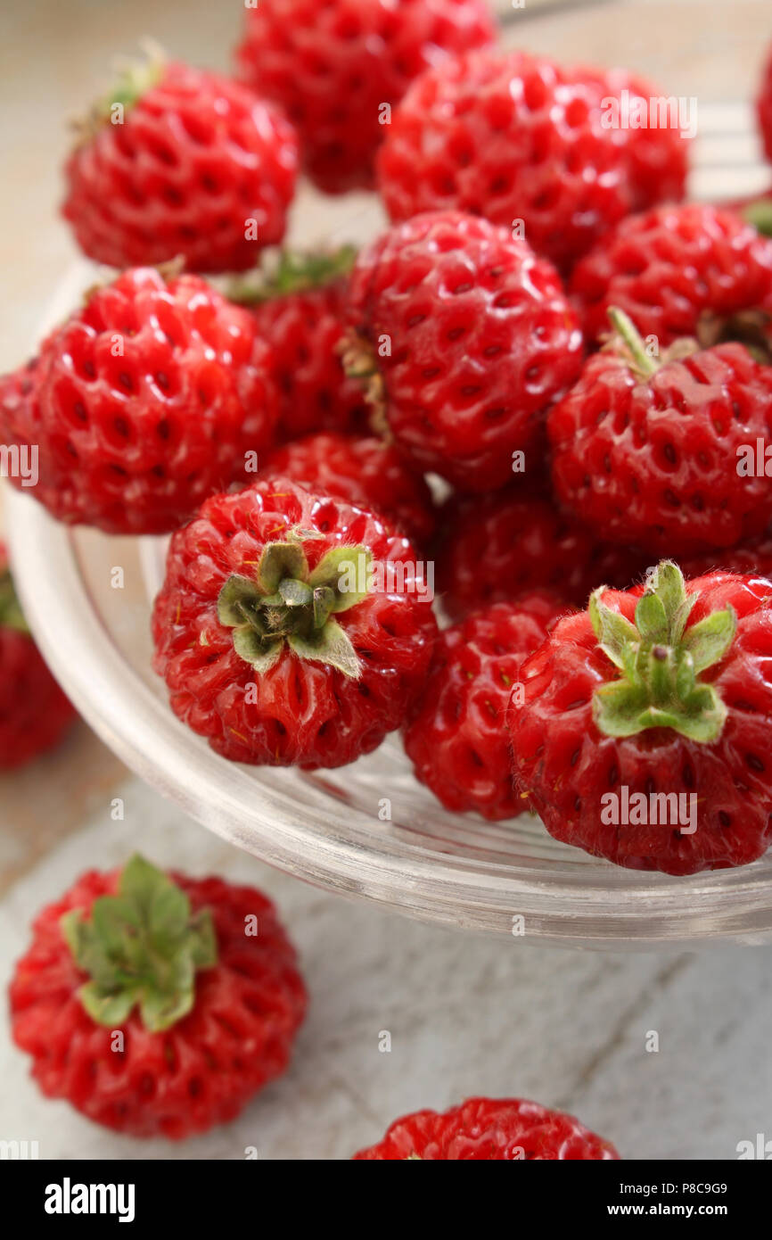 strasberry fruit Stock Photo
