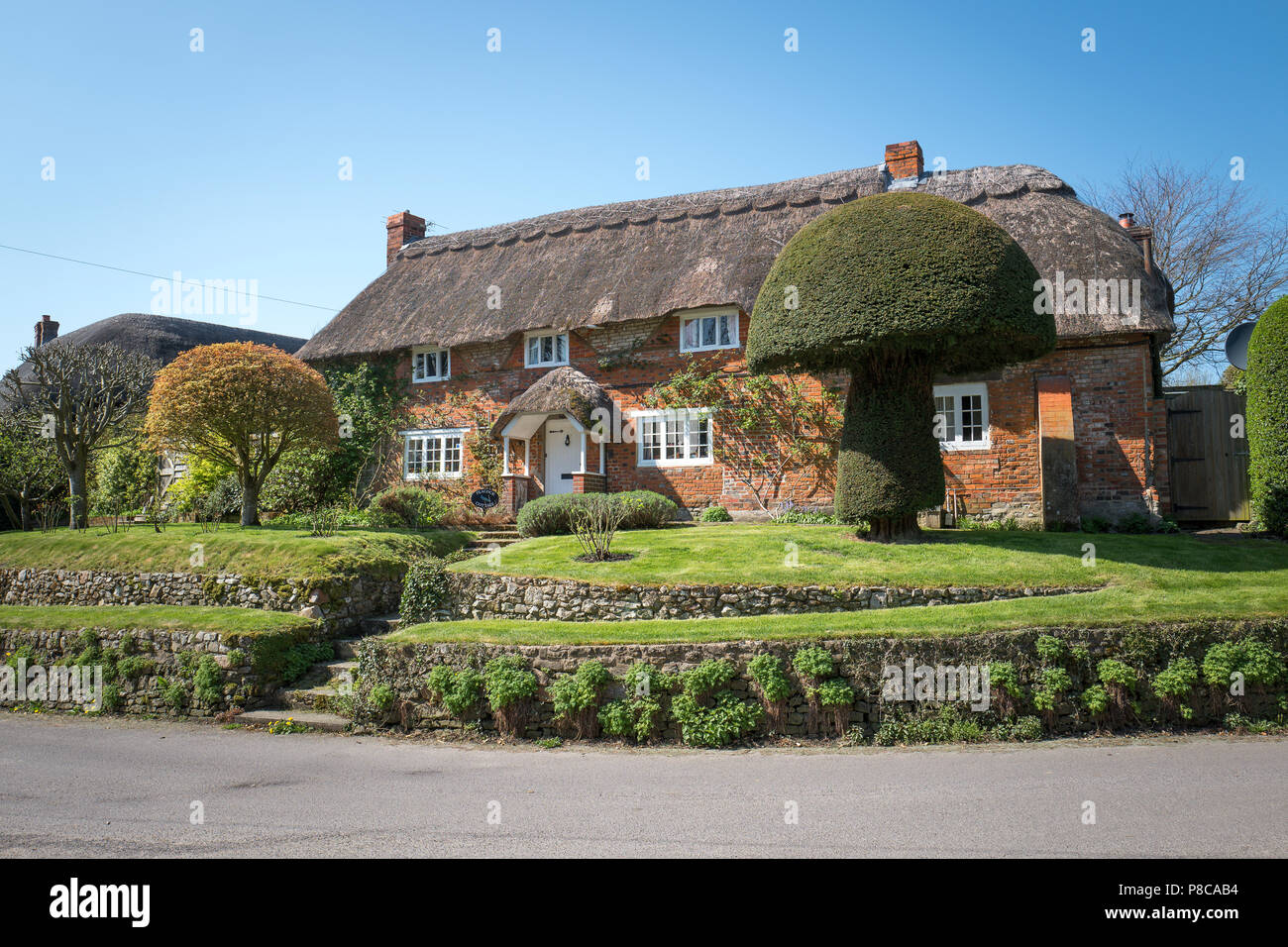Thatched Peacock Cottage in Wansborough Wiltshire England UK with an impressive yew topiary Stock Photo