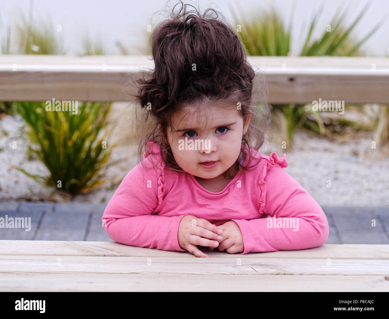 Baby girl white 20 months old big Natural Brown hair, Robert Taylor